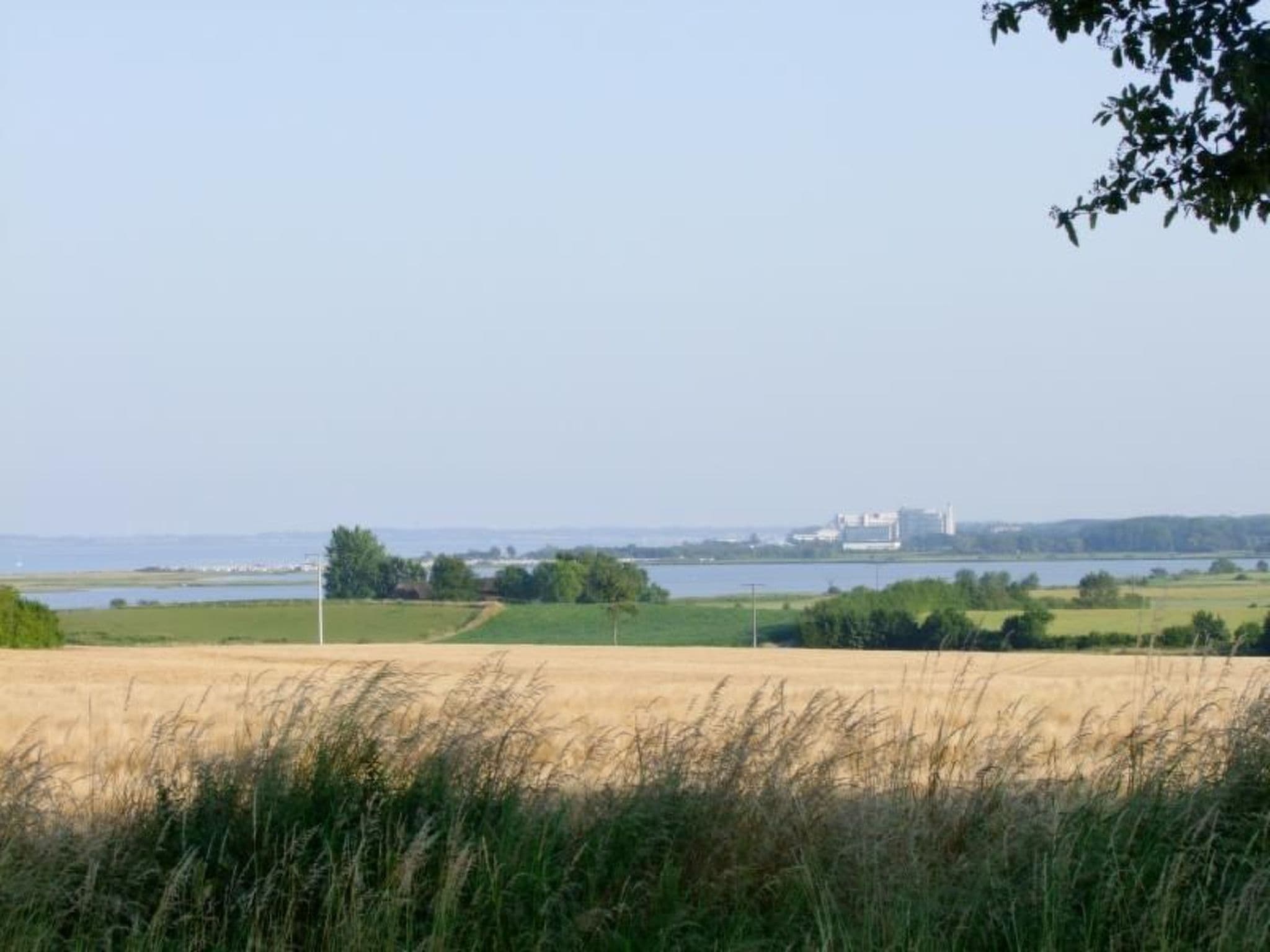 Gallery Image 10
