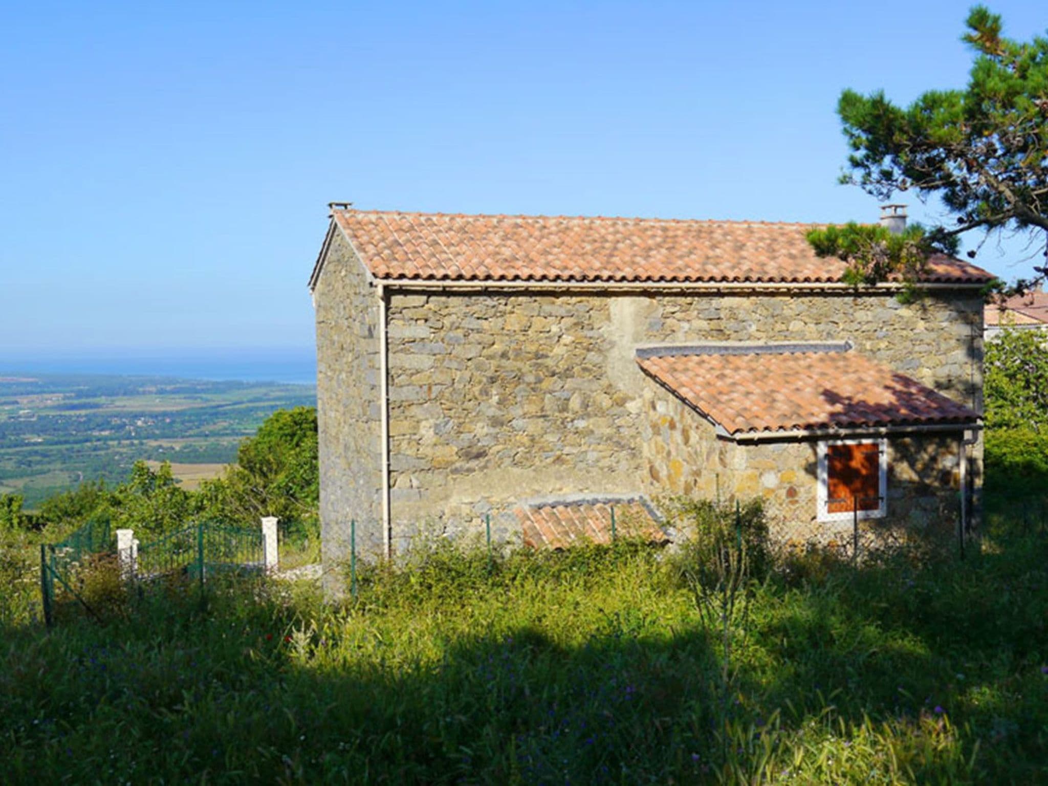 Gallery Image 12