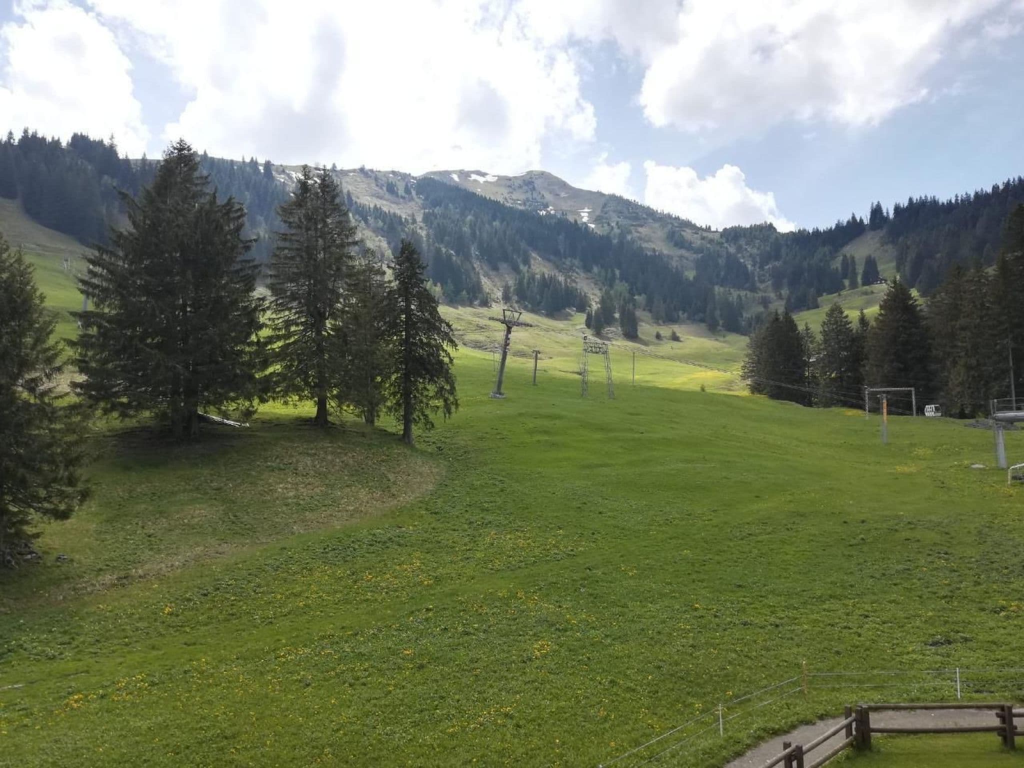 Gallery Image 12