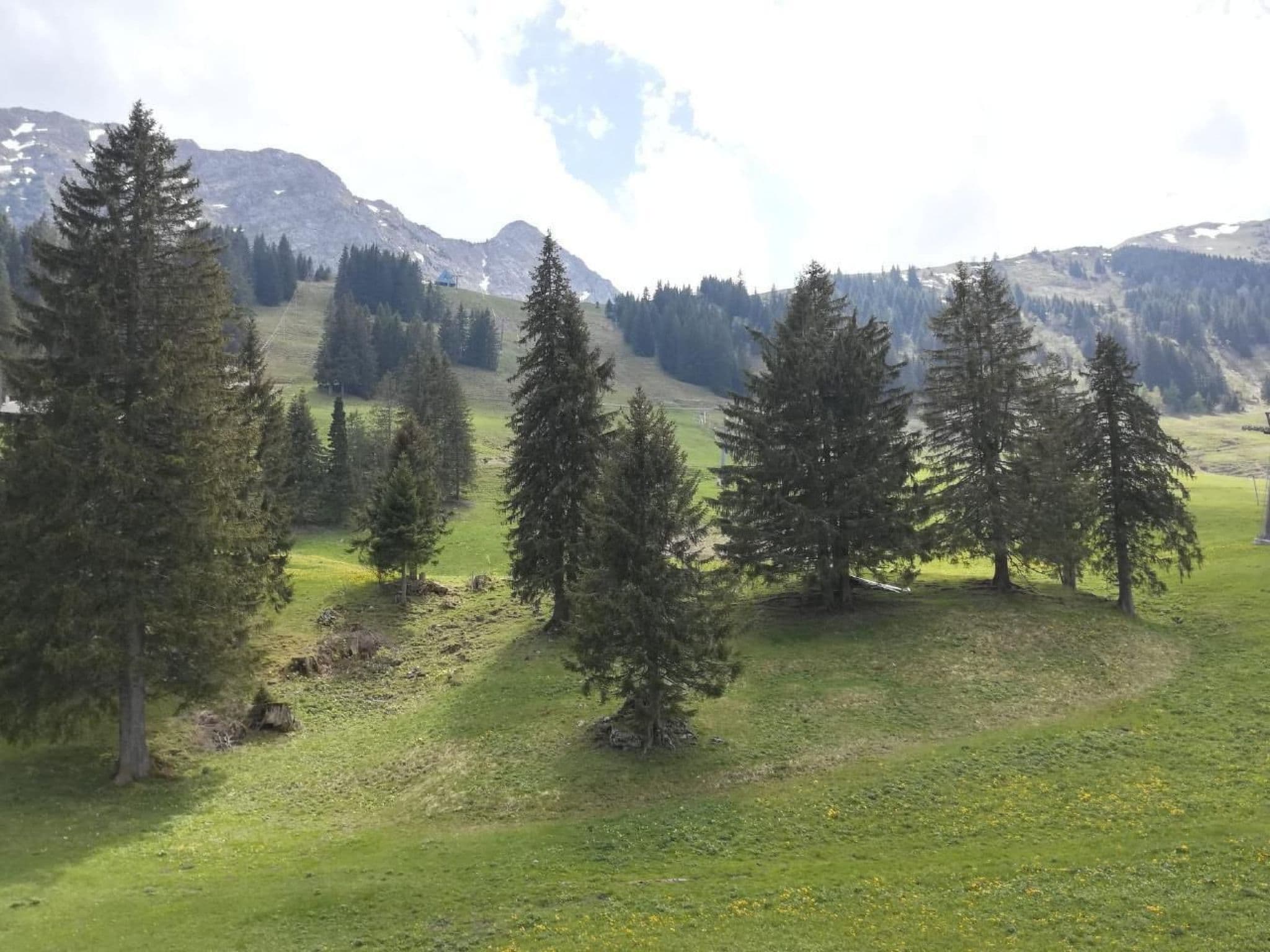 Gallery Image 13