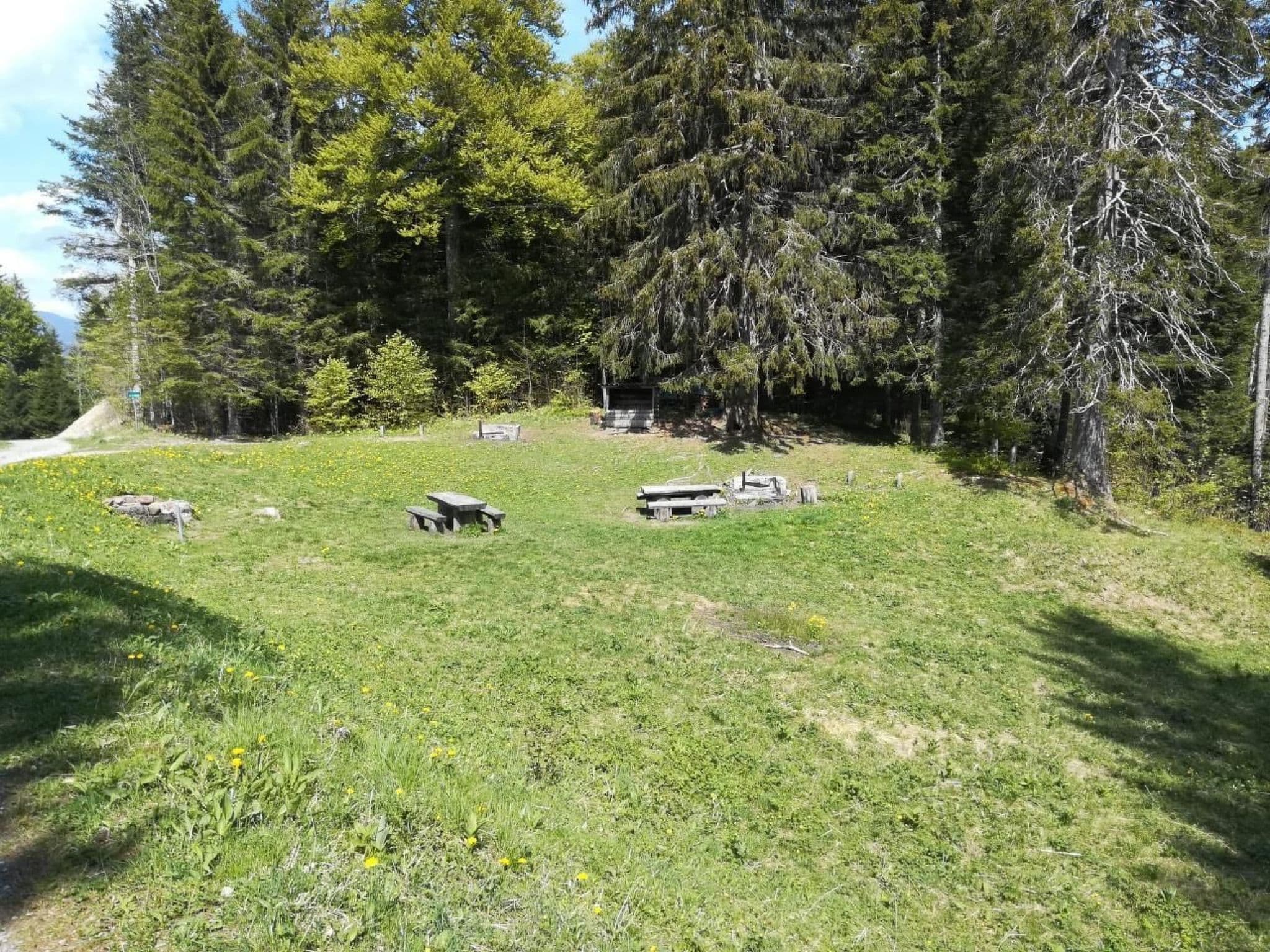 Gallery Image 17