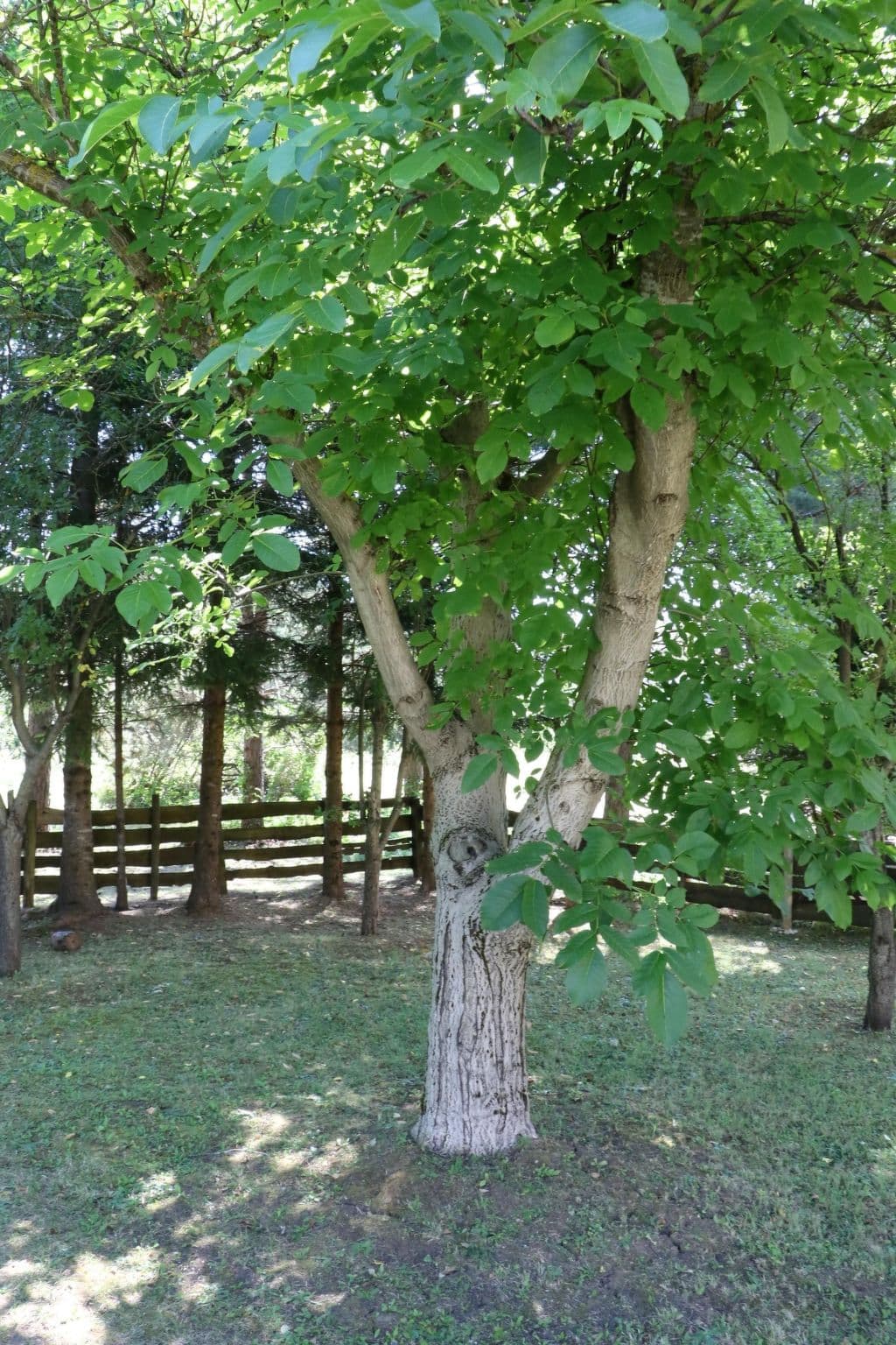 Gallery Image 12