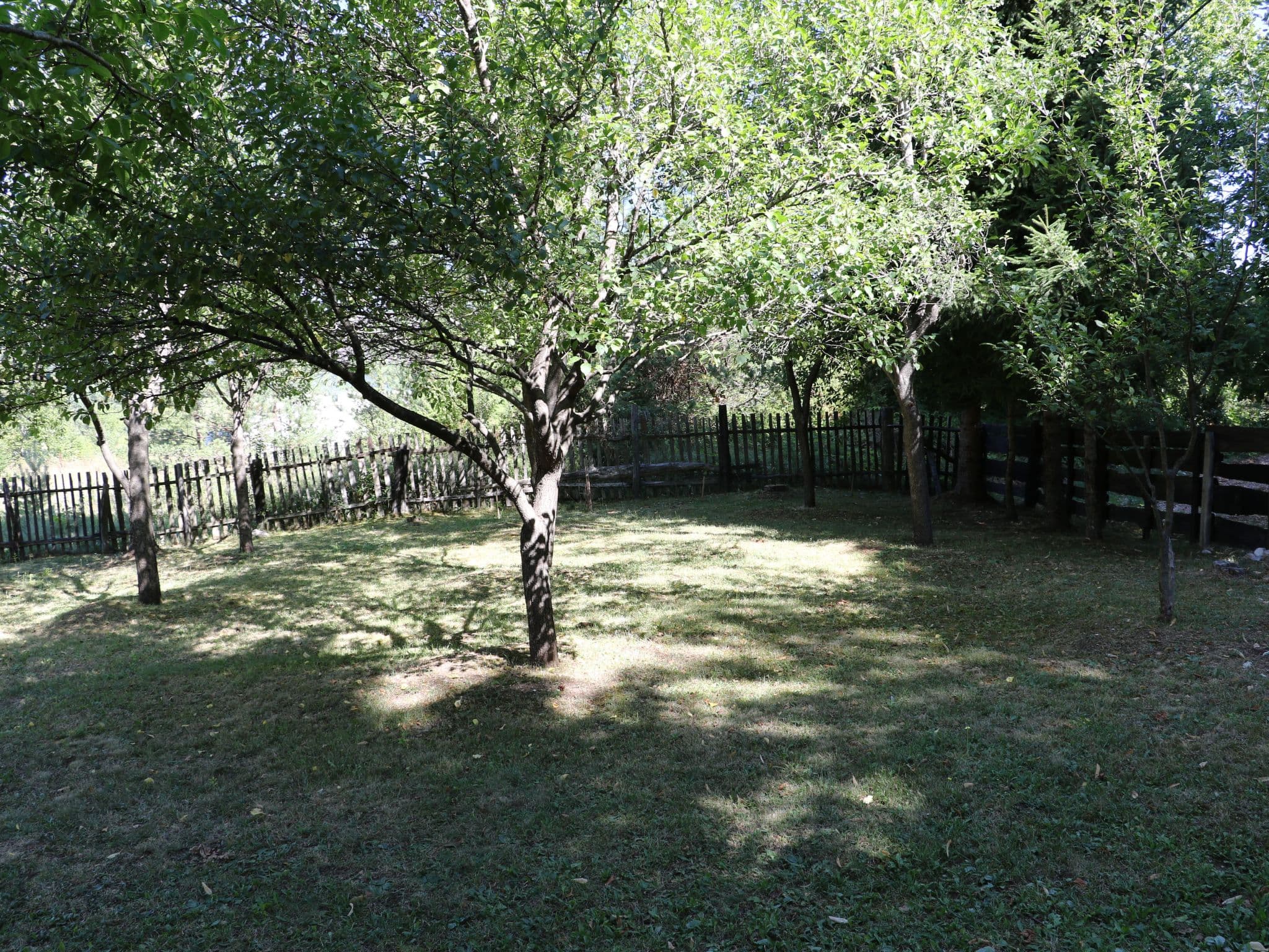 Gallery Image 8