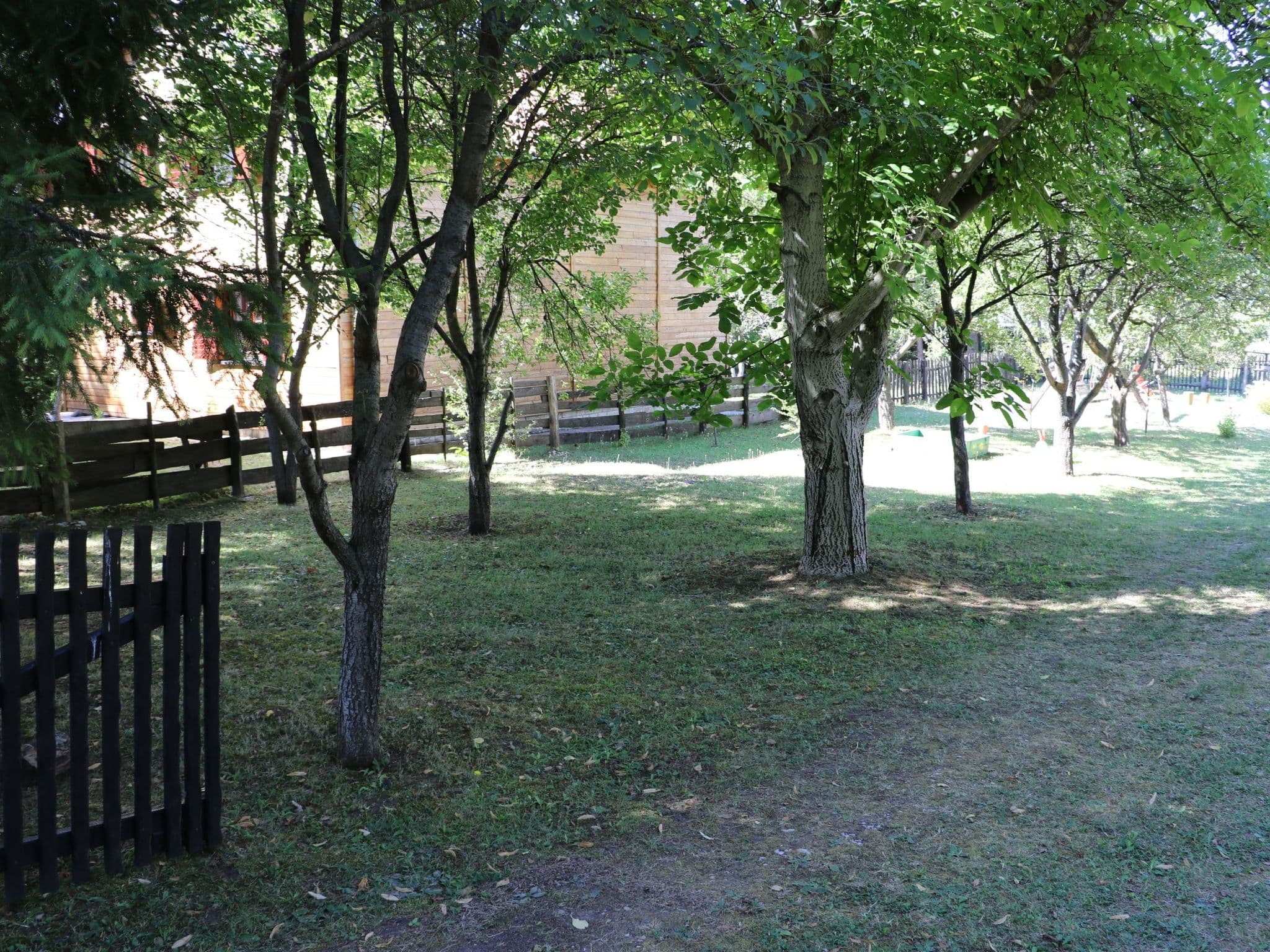 Gallery Image 7