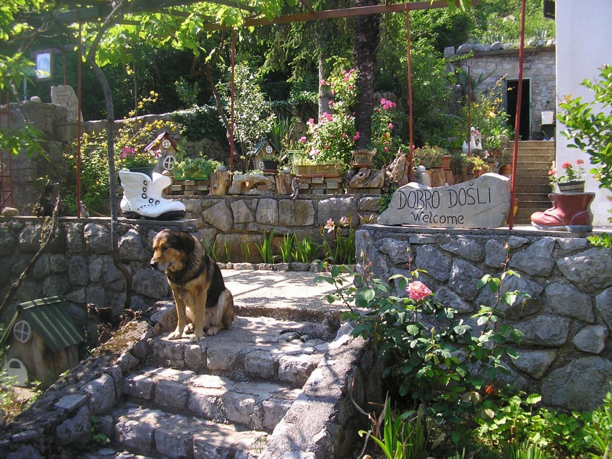 Gallery Image 21