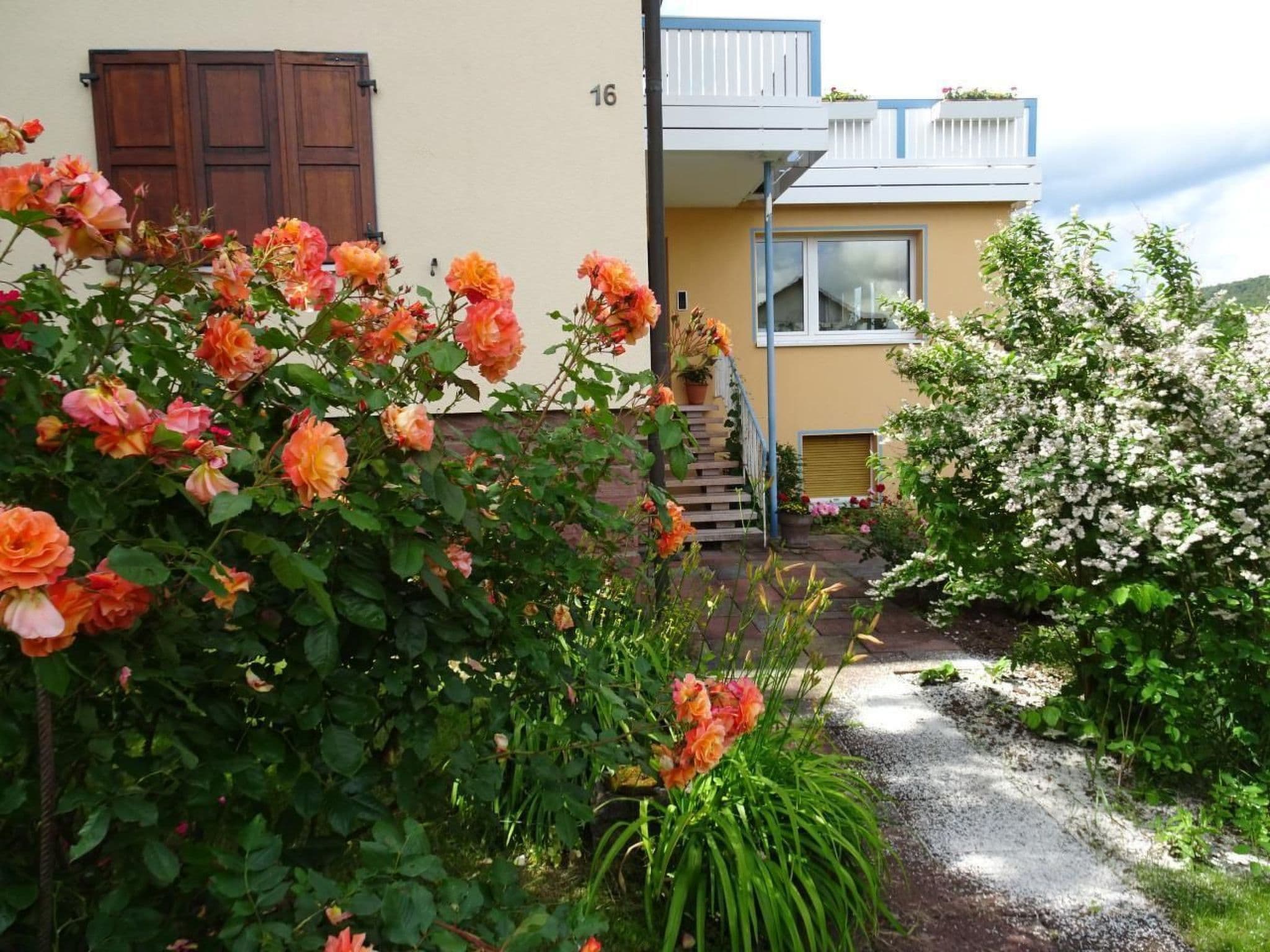 Gallery Image 11