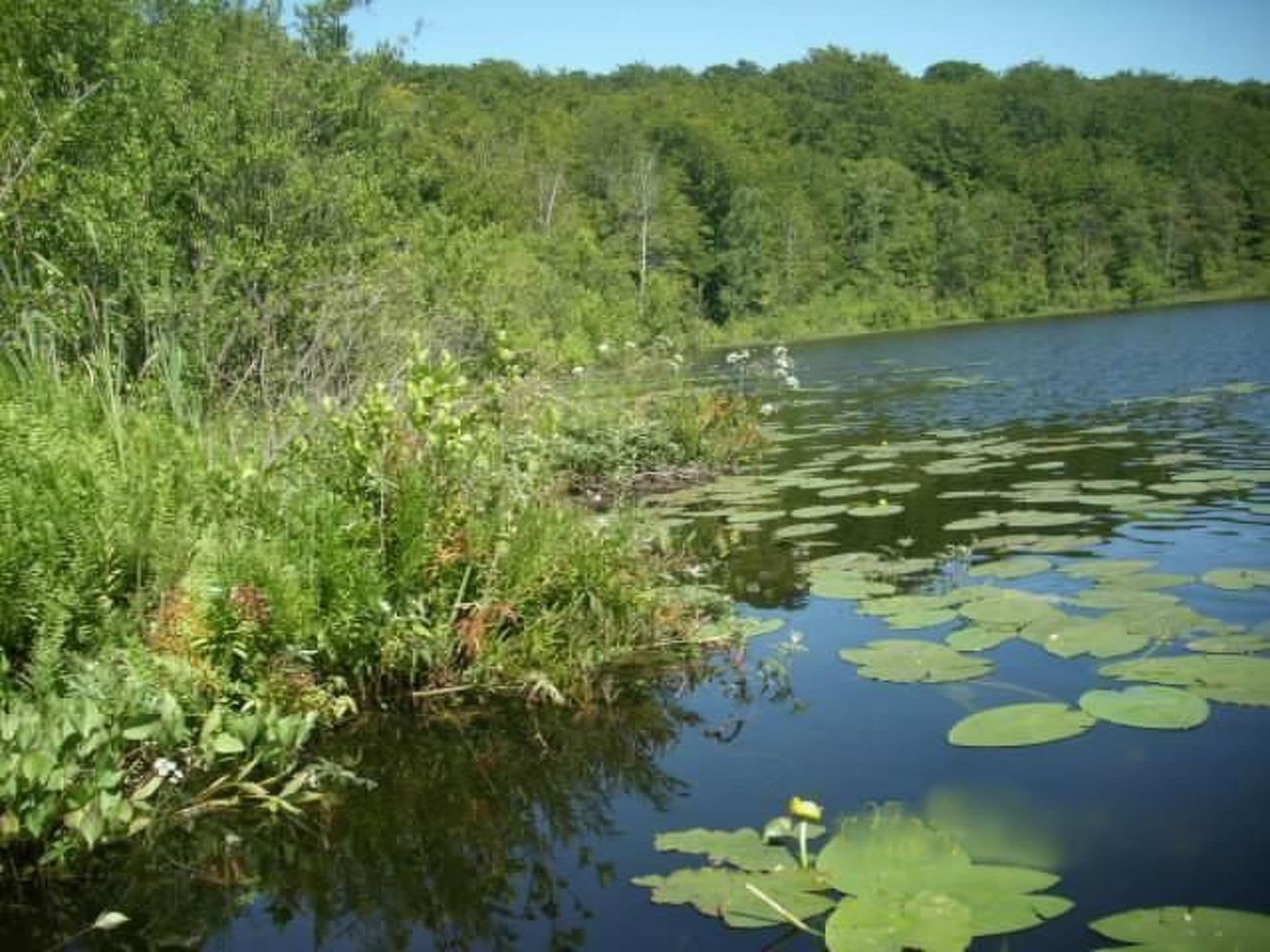 Gallery Image 17