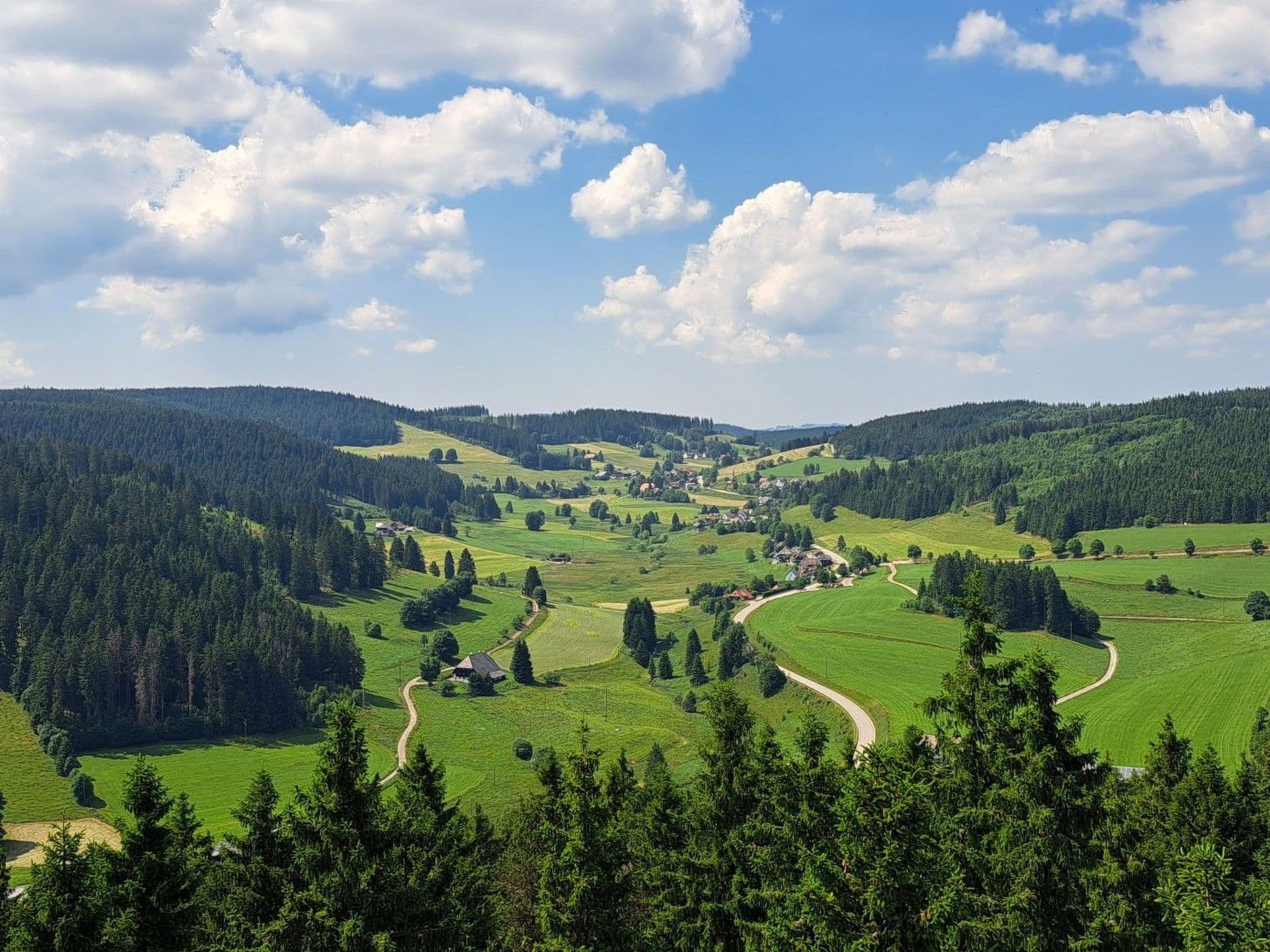 View