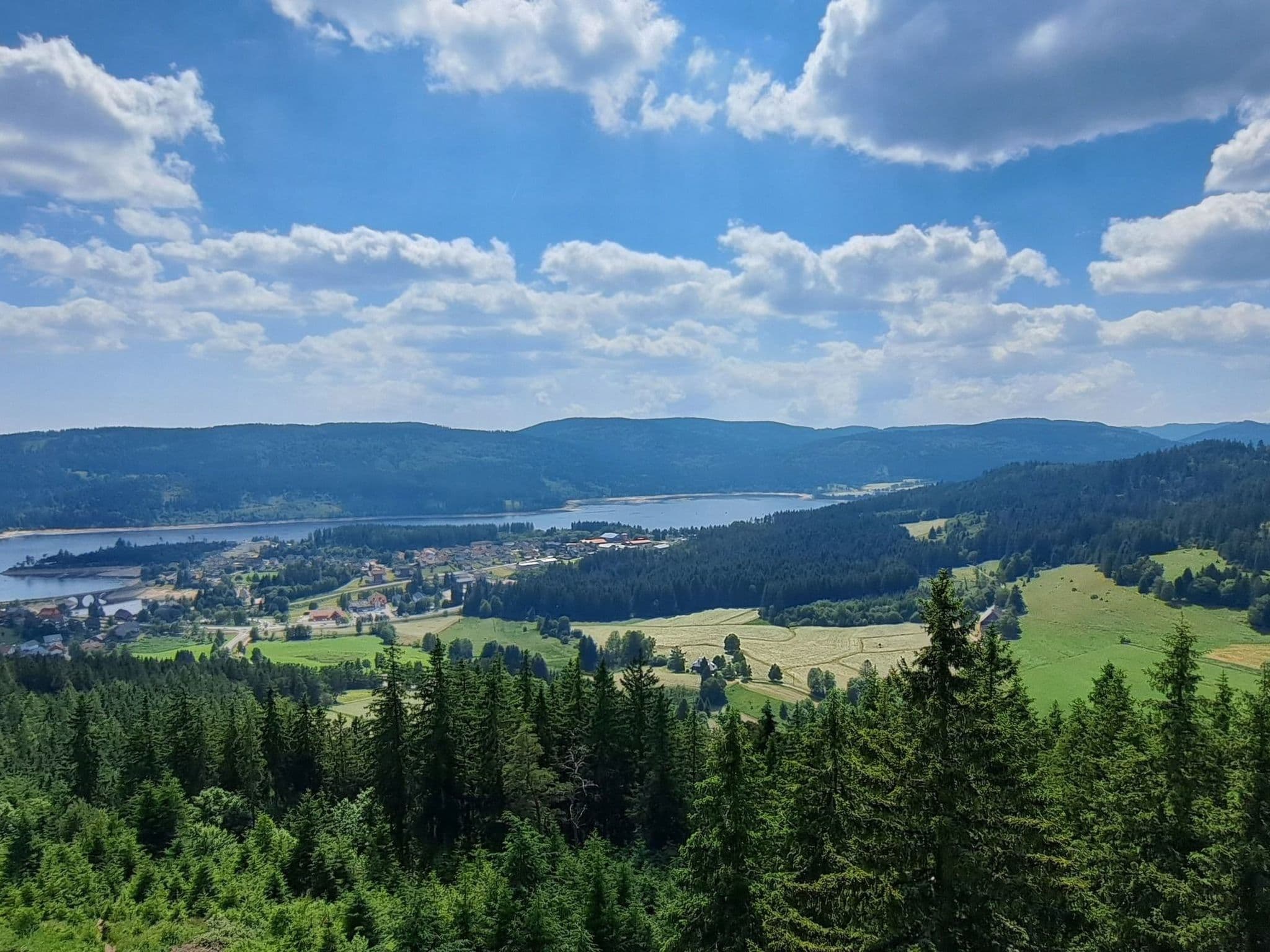 View
