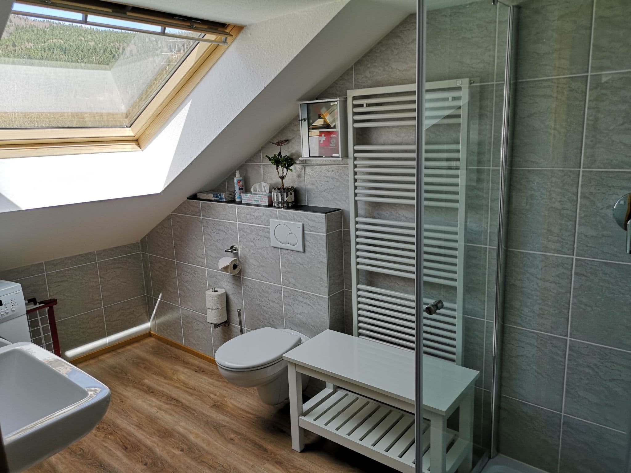 Bathroom / Wellness