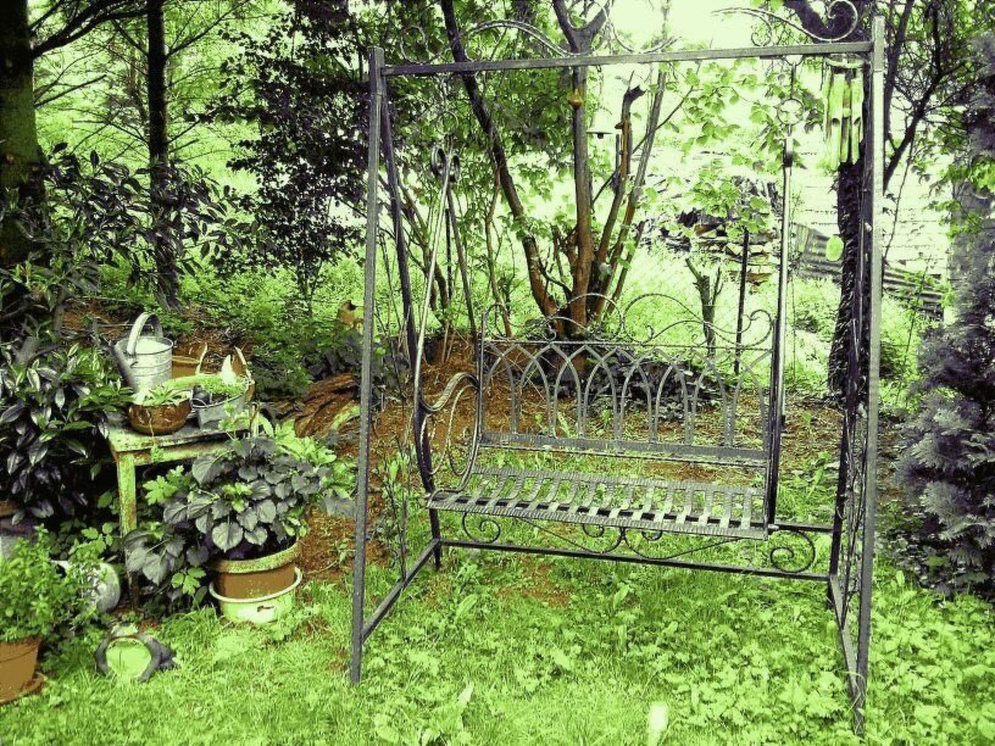 Gallery Image 7
