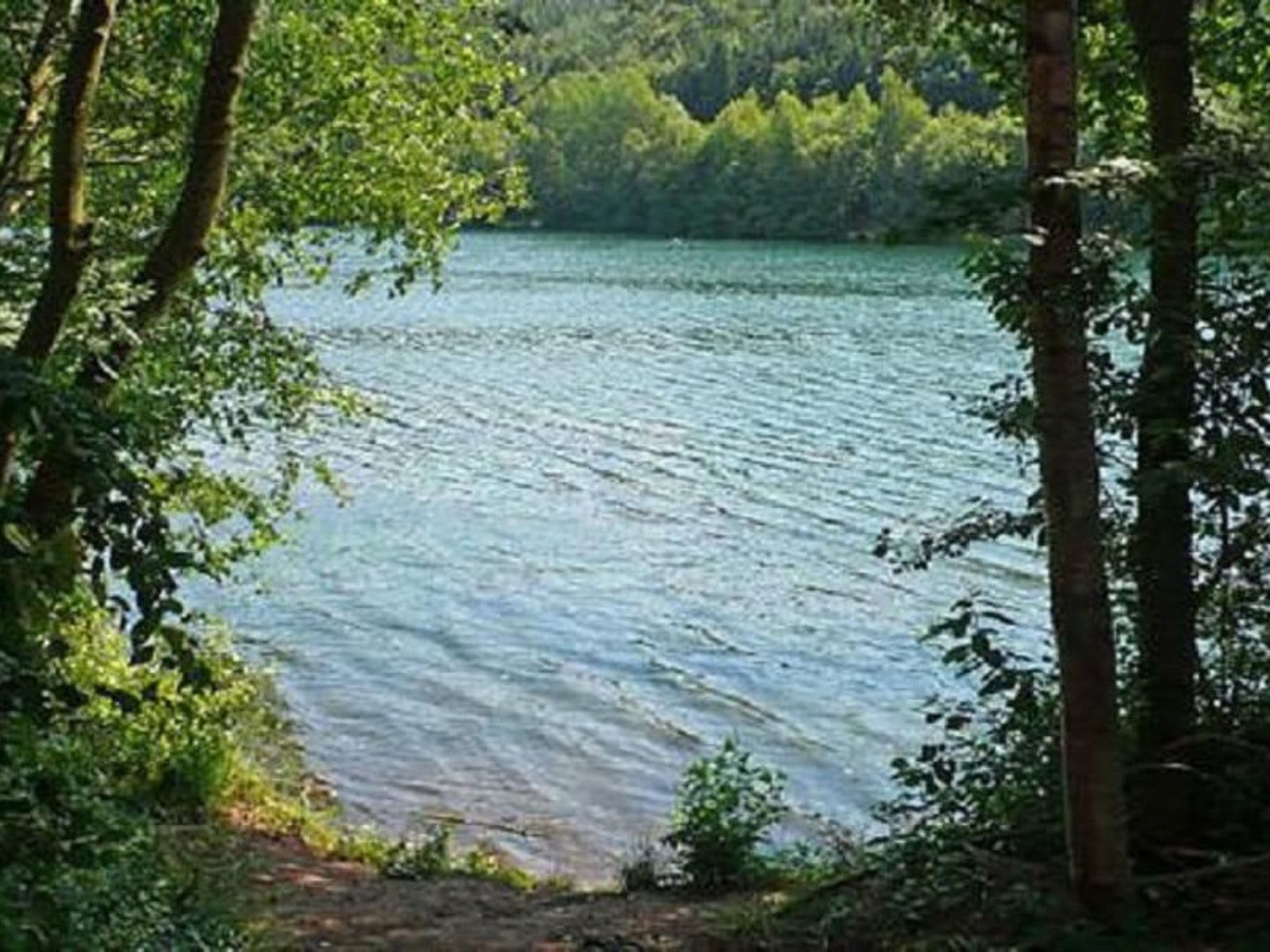 Gallery Image 12
