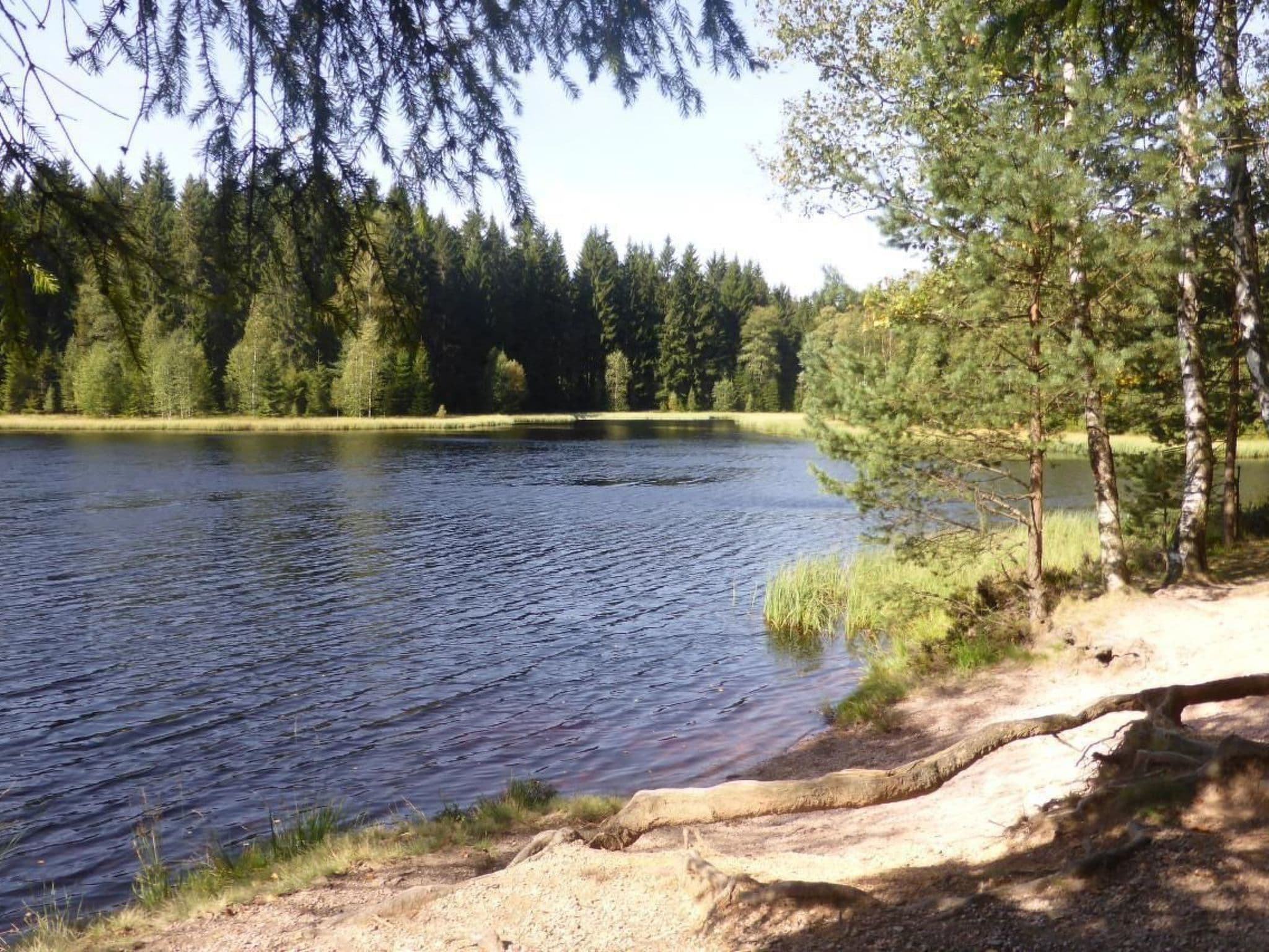 Gallery Image 25
