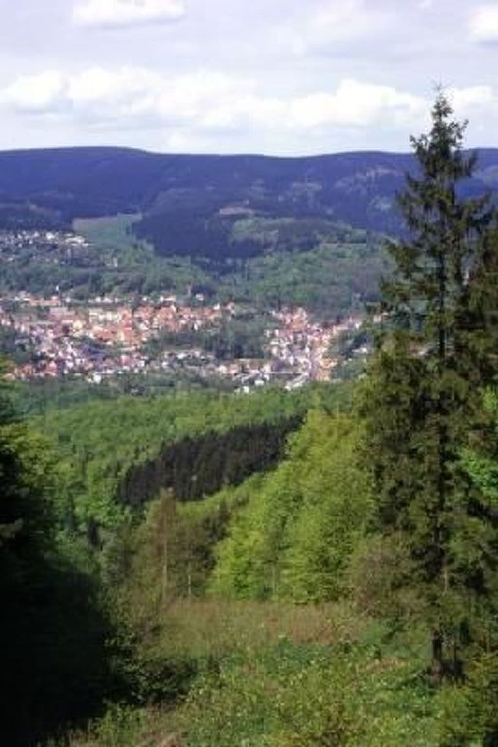 View