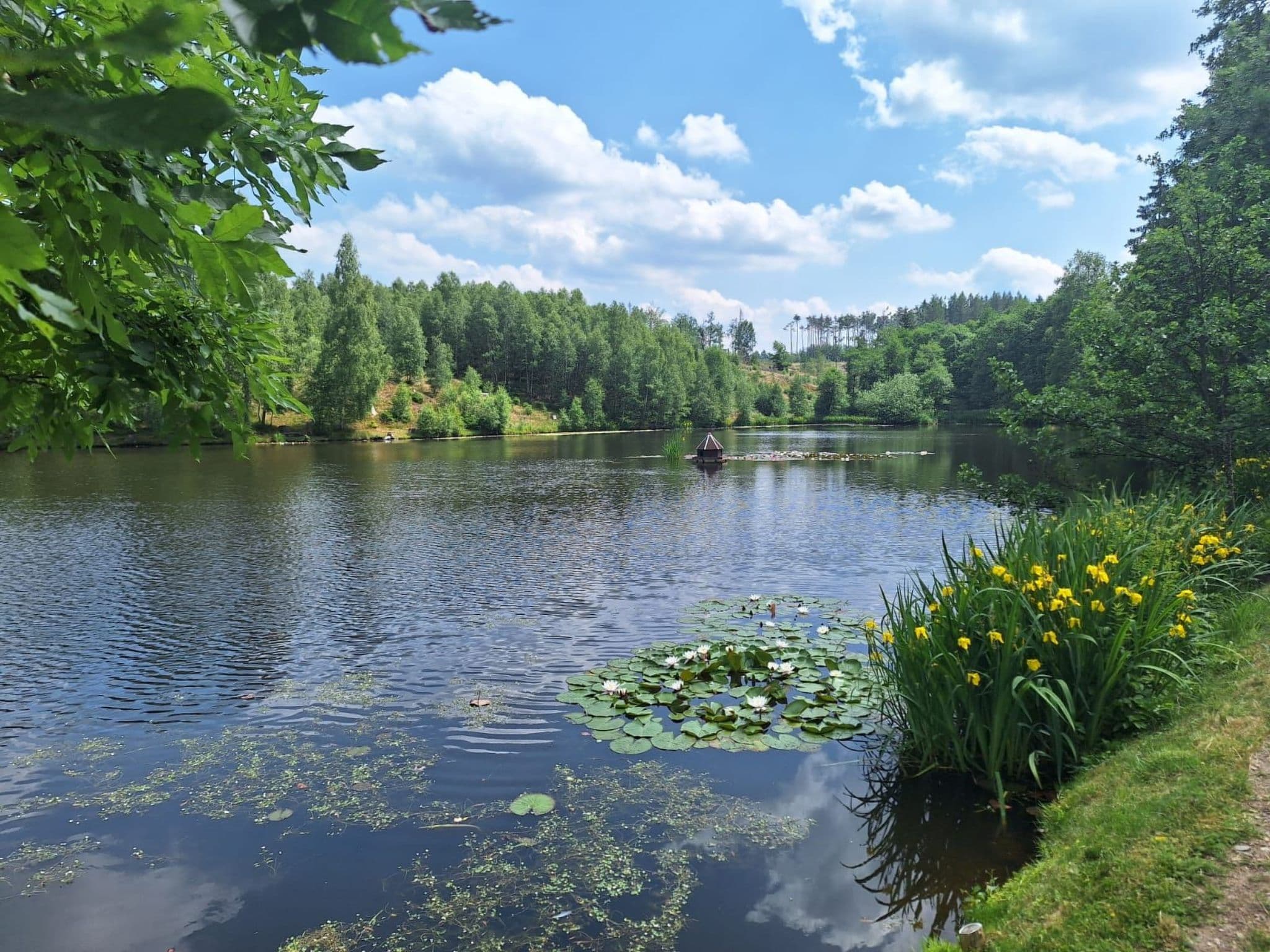 Gallery Image 28