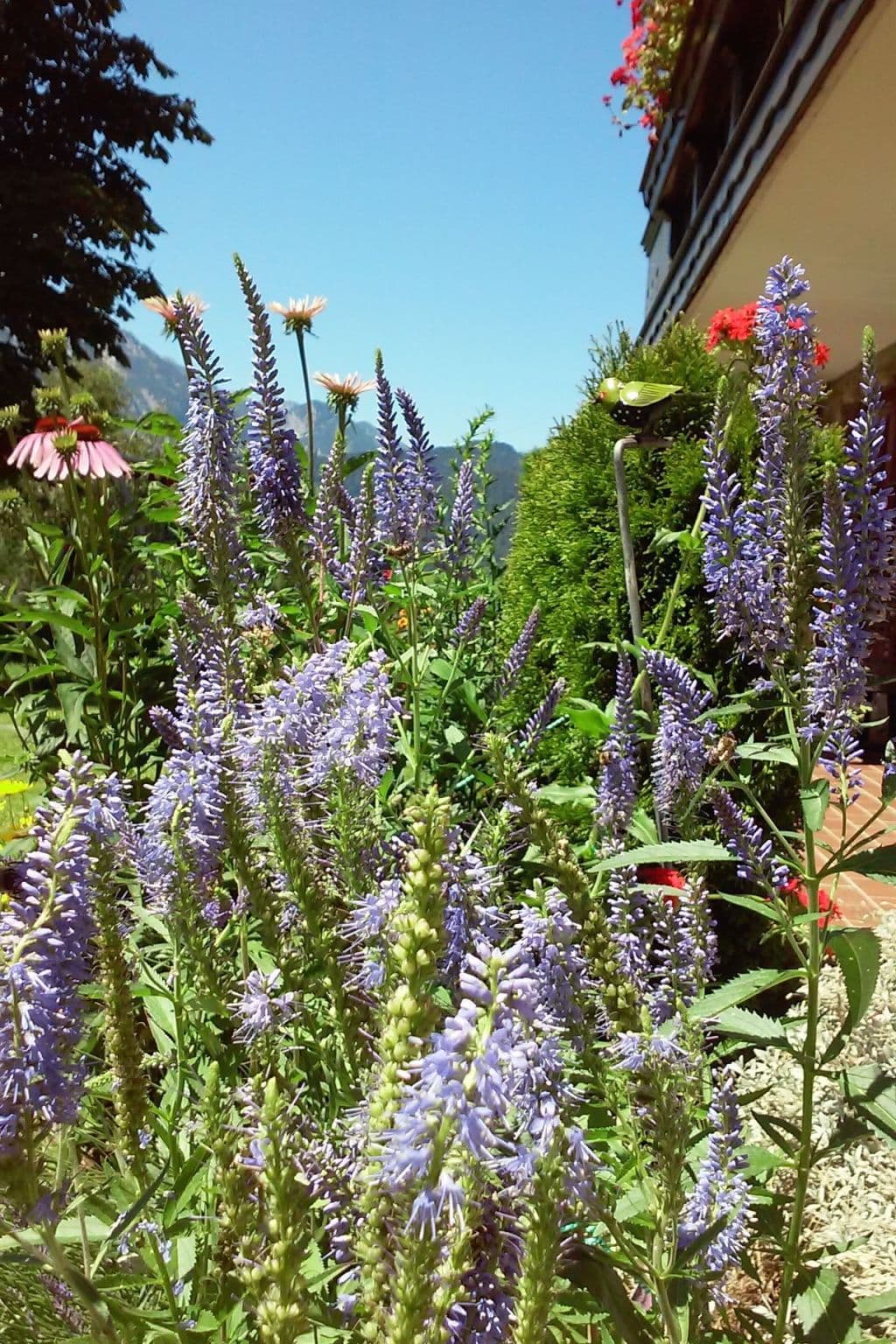 Gallery Image 21