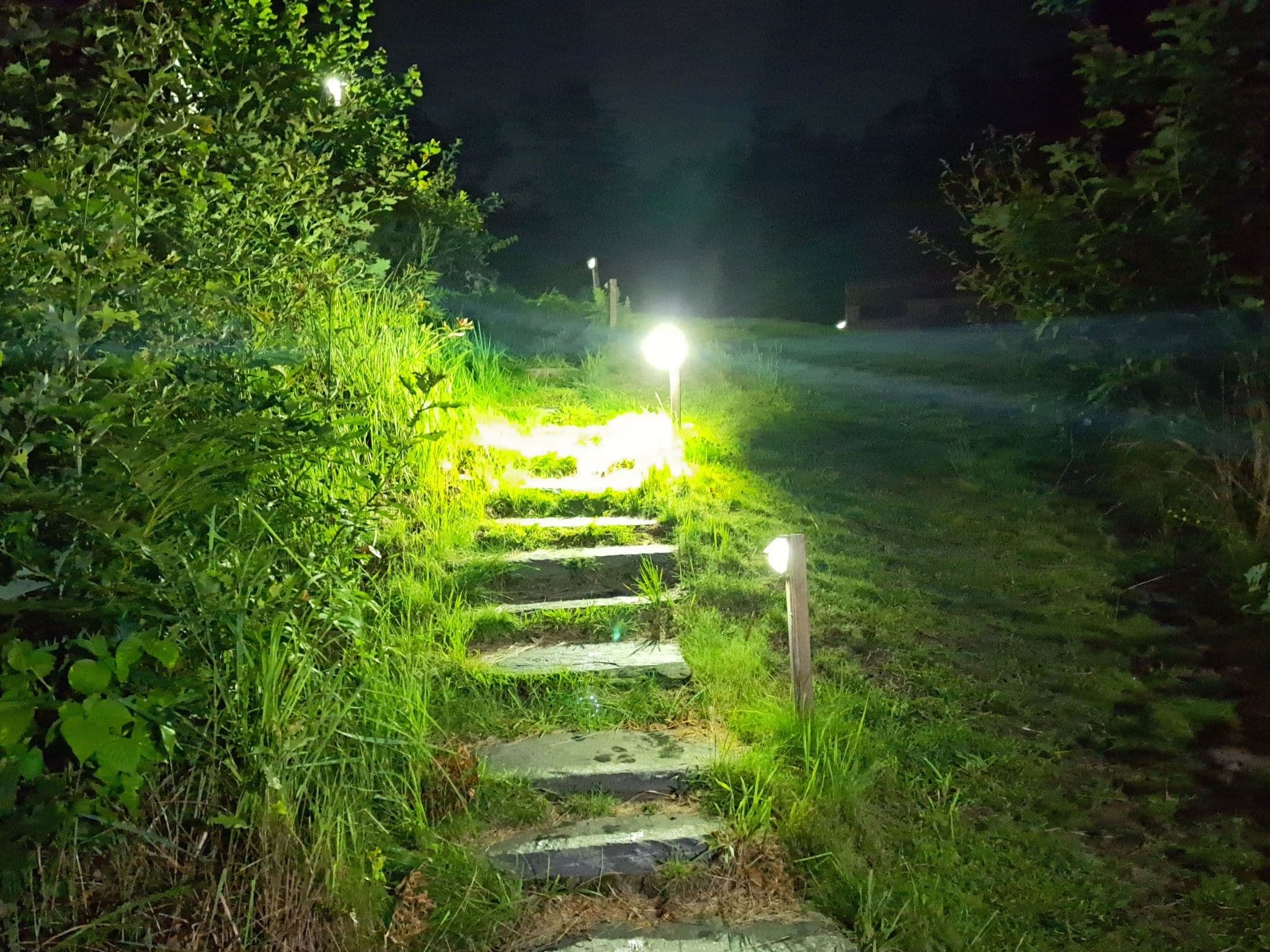 Gallery Image 55