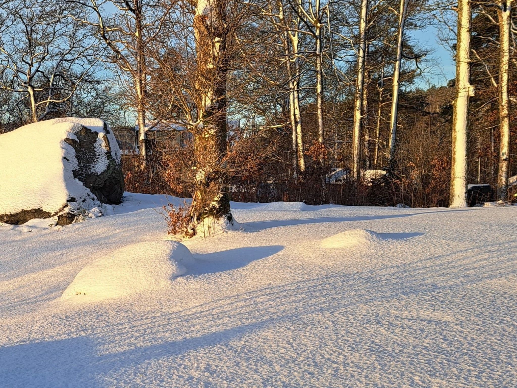 Gallery Image 14