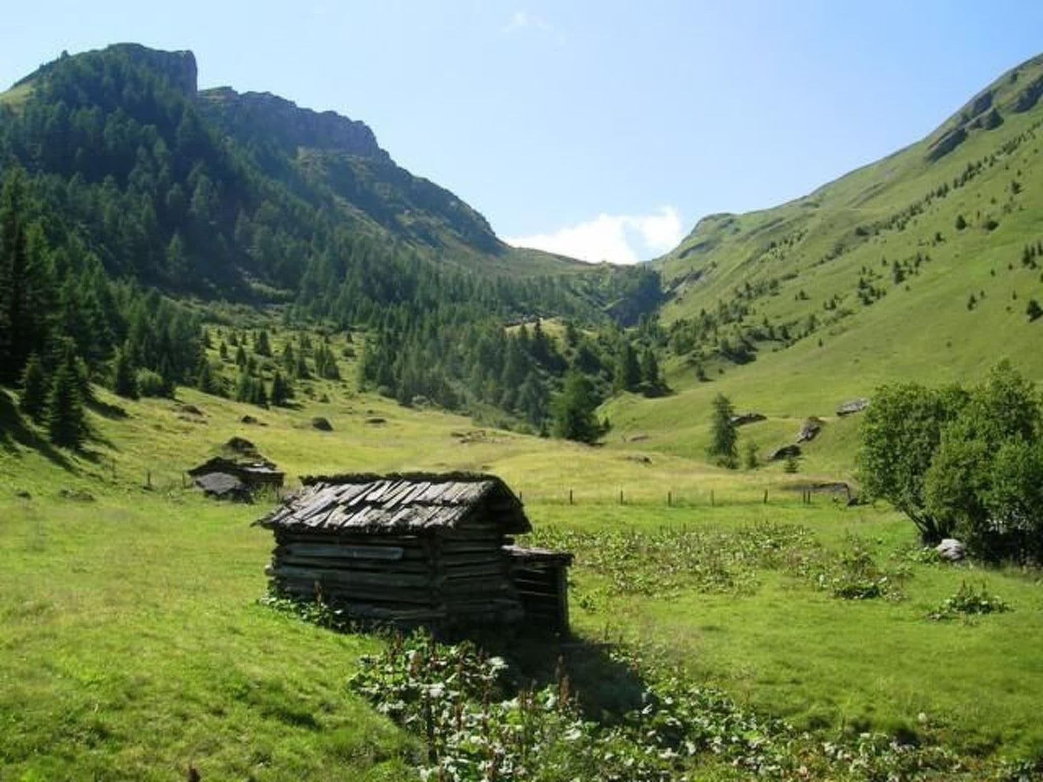 View