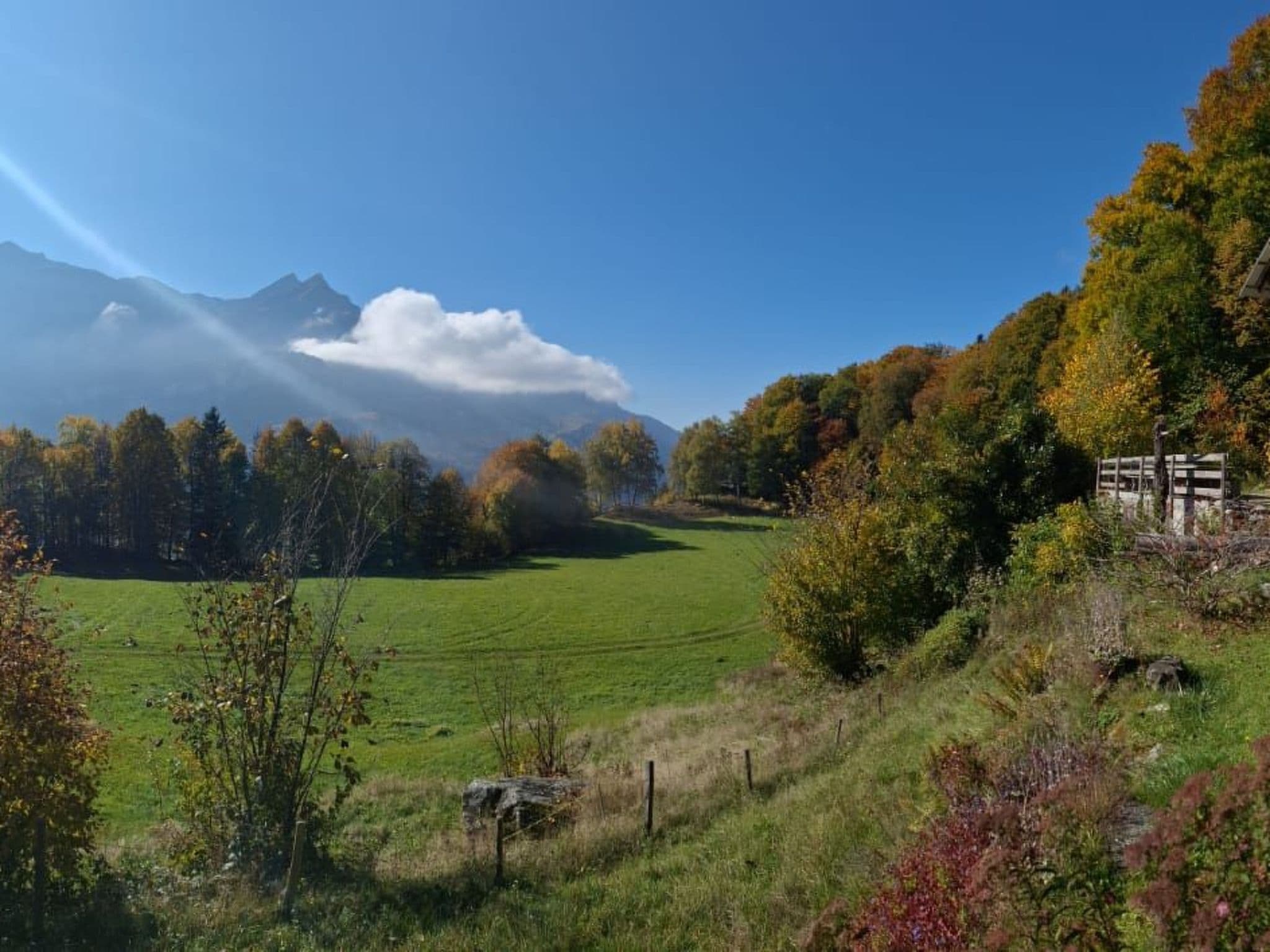 View