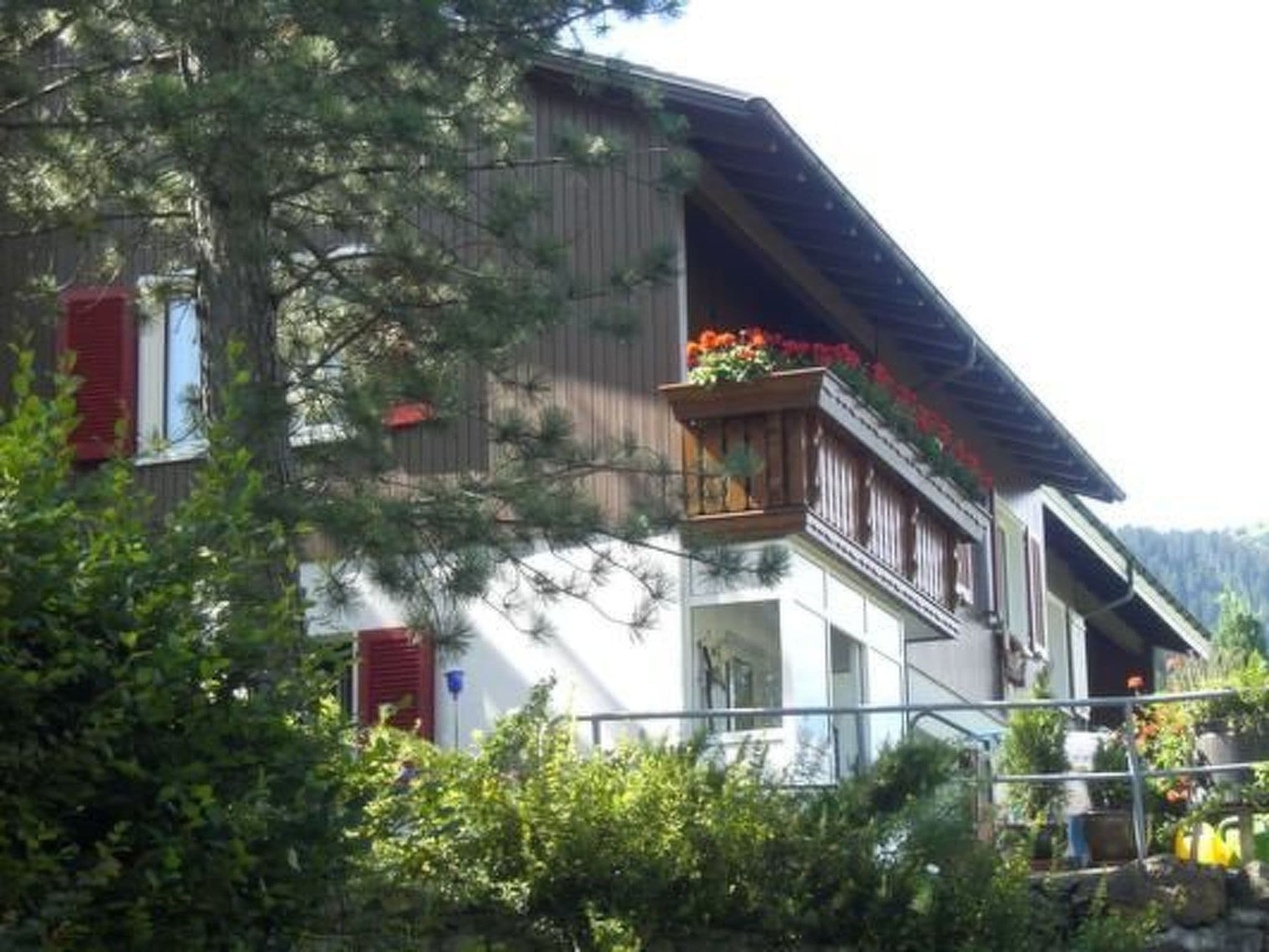 Gallery Image 19