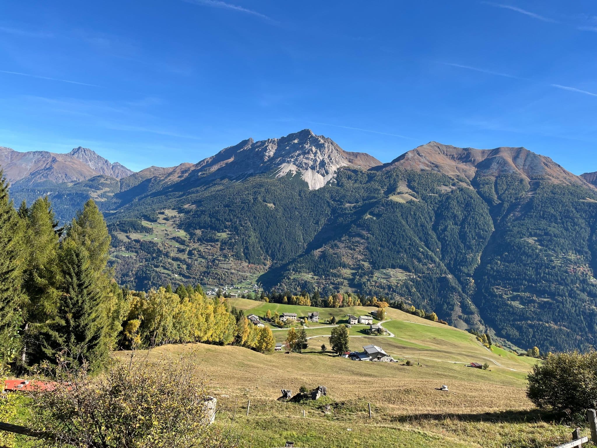 View