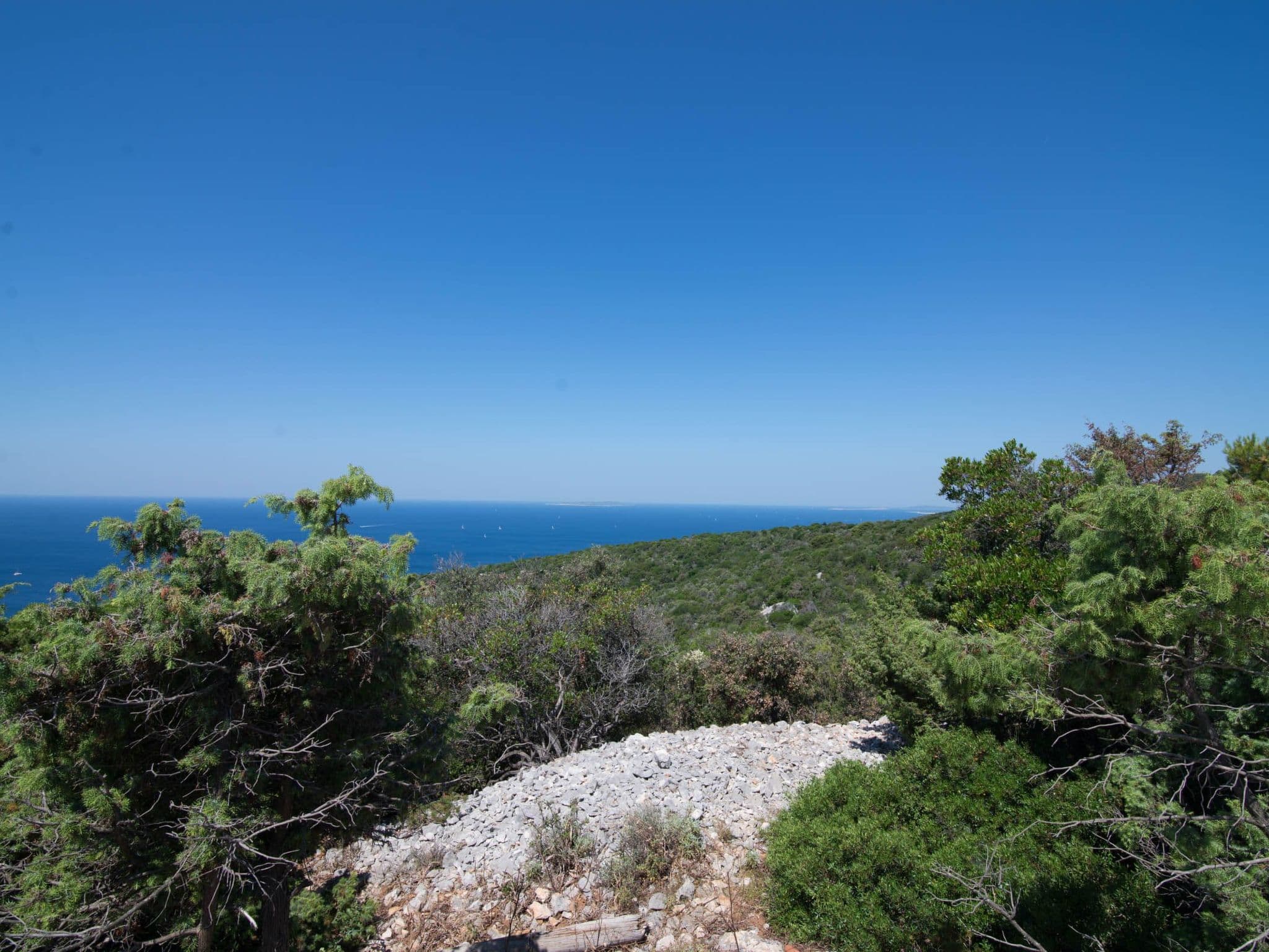 View
