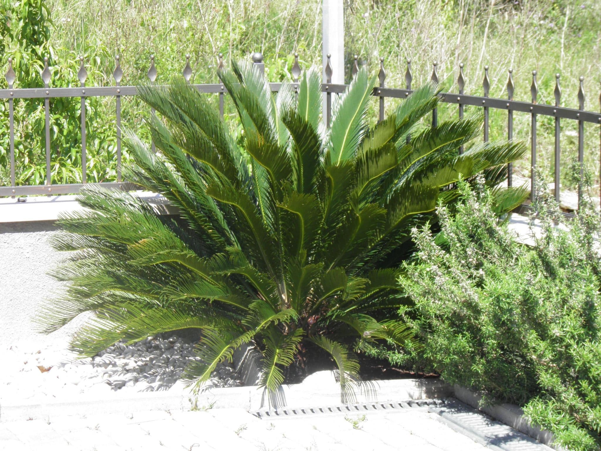 Gallery Image 10