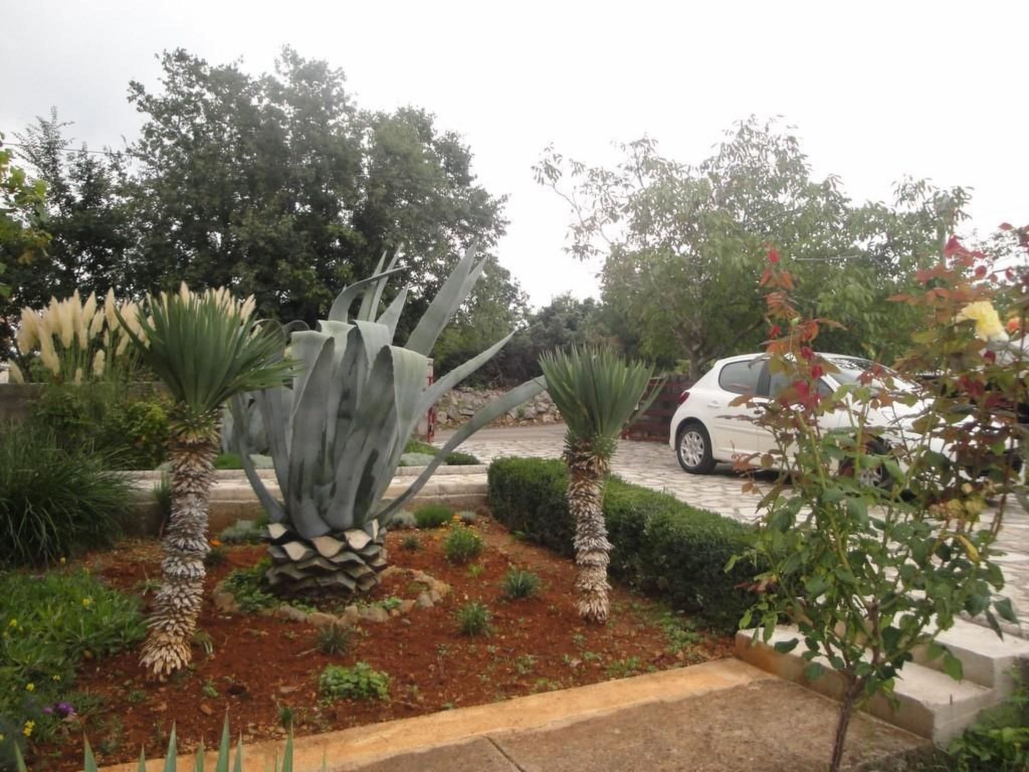Gallery Image 35