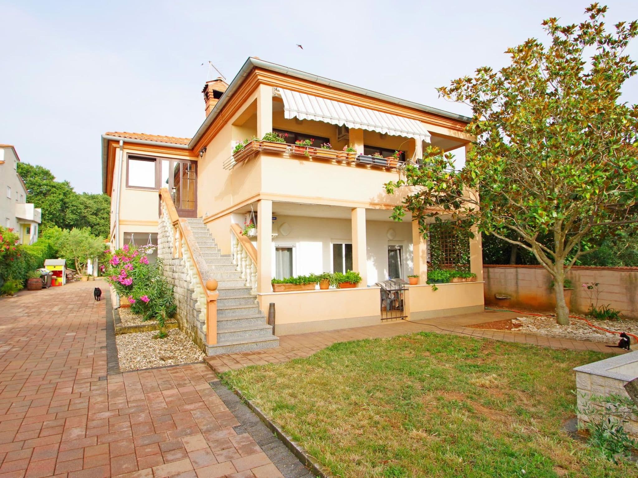 House