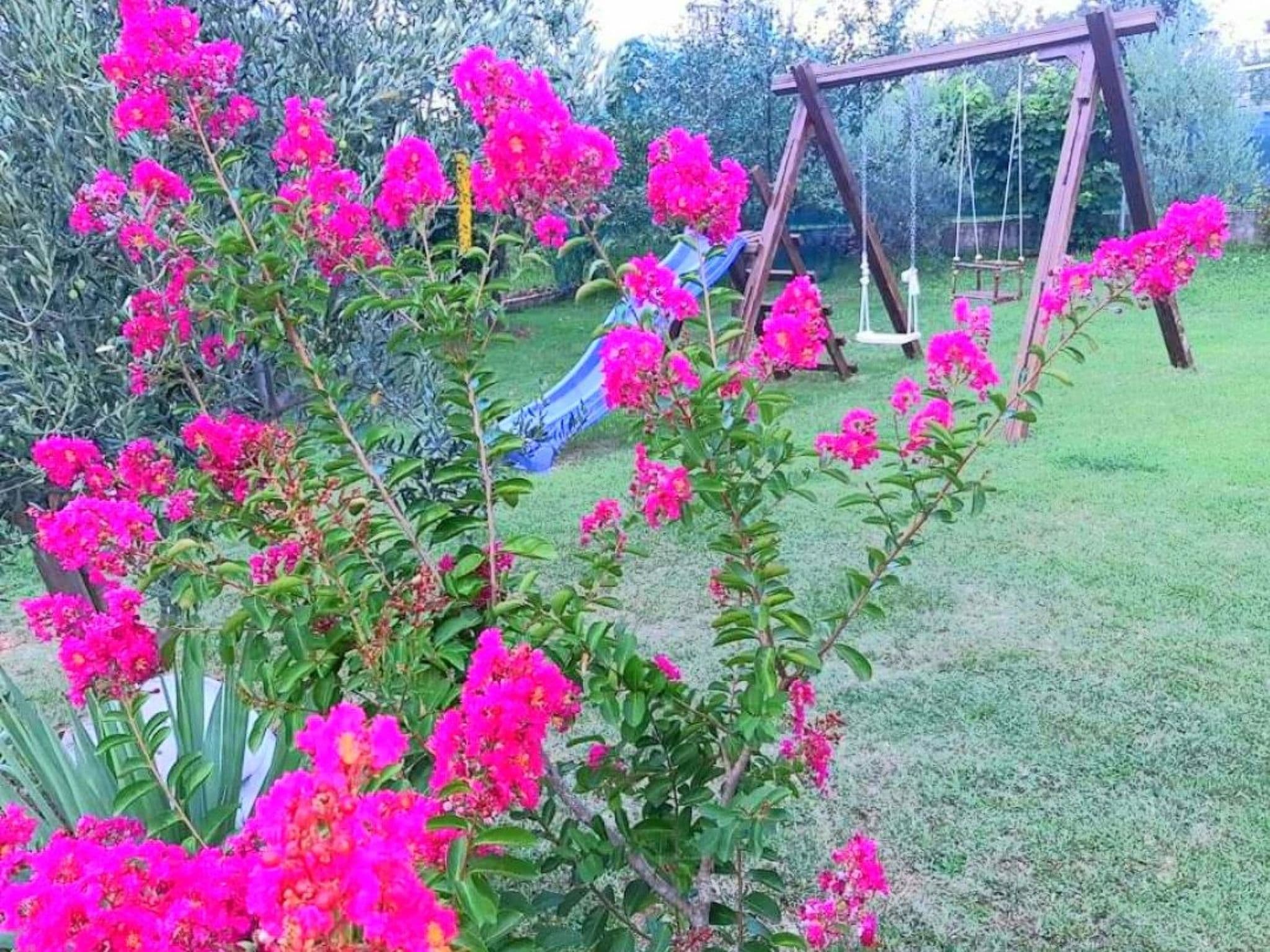 Outdoor