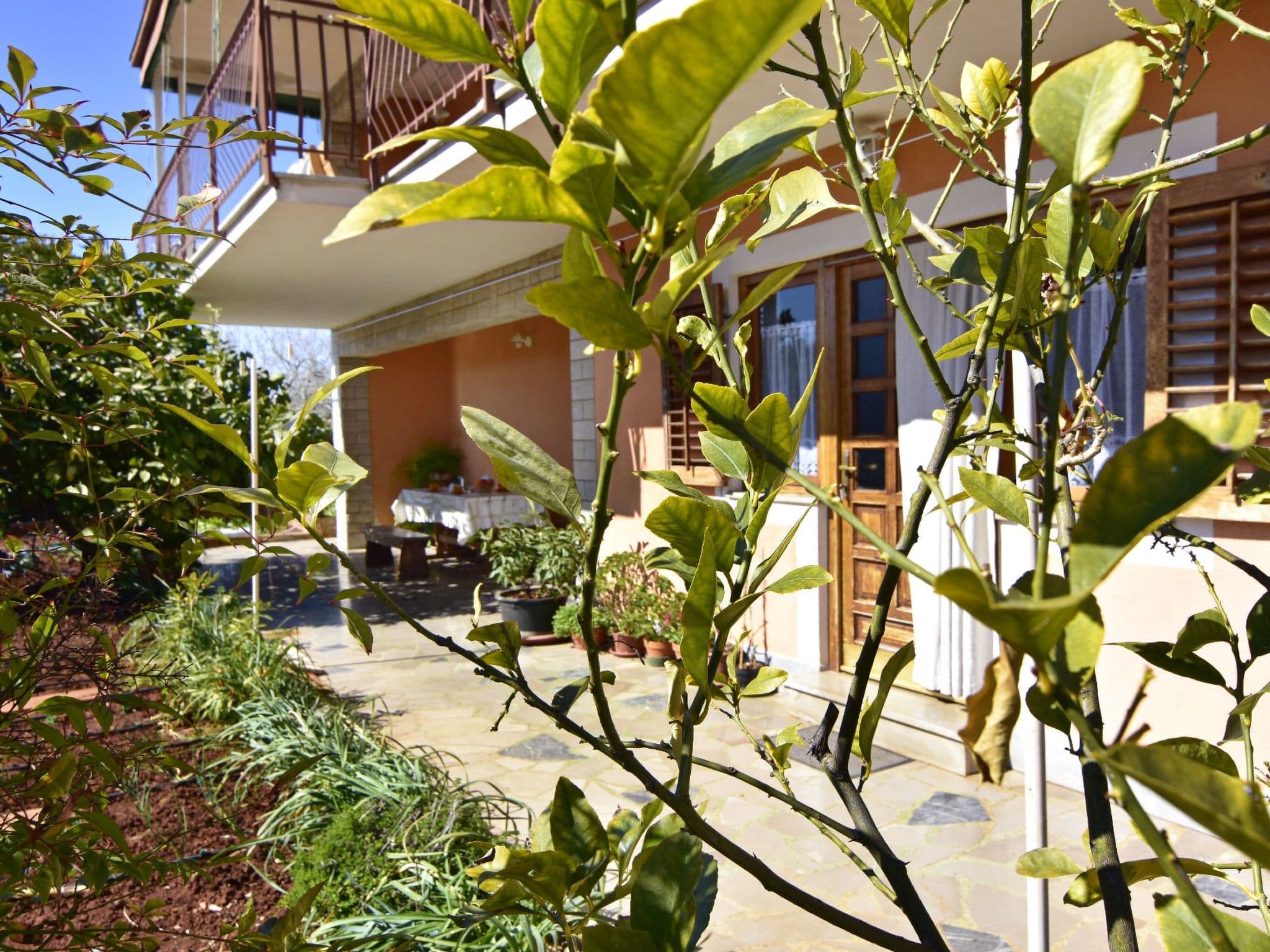 Gallery Image 15