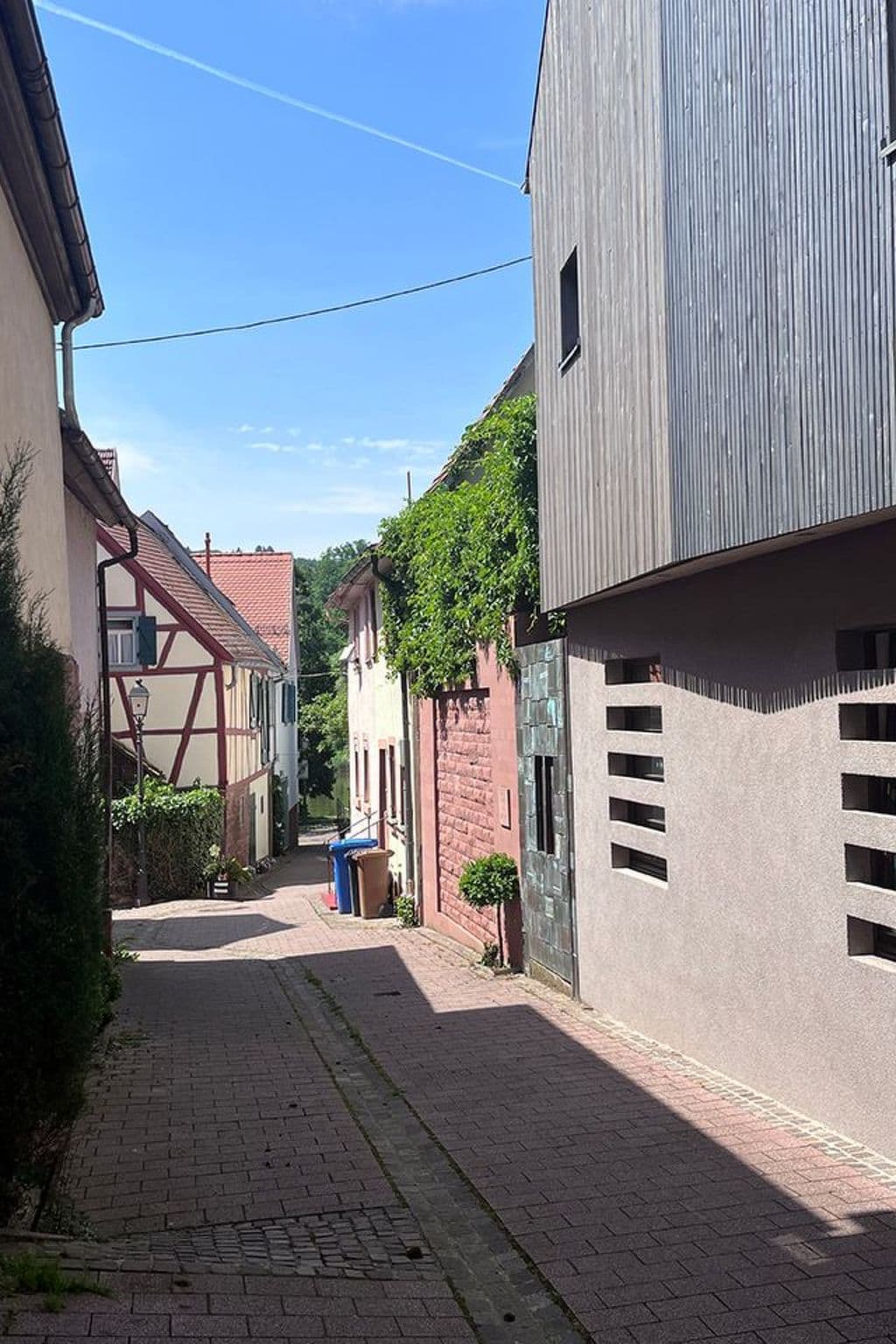 Gallery Image 25