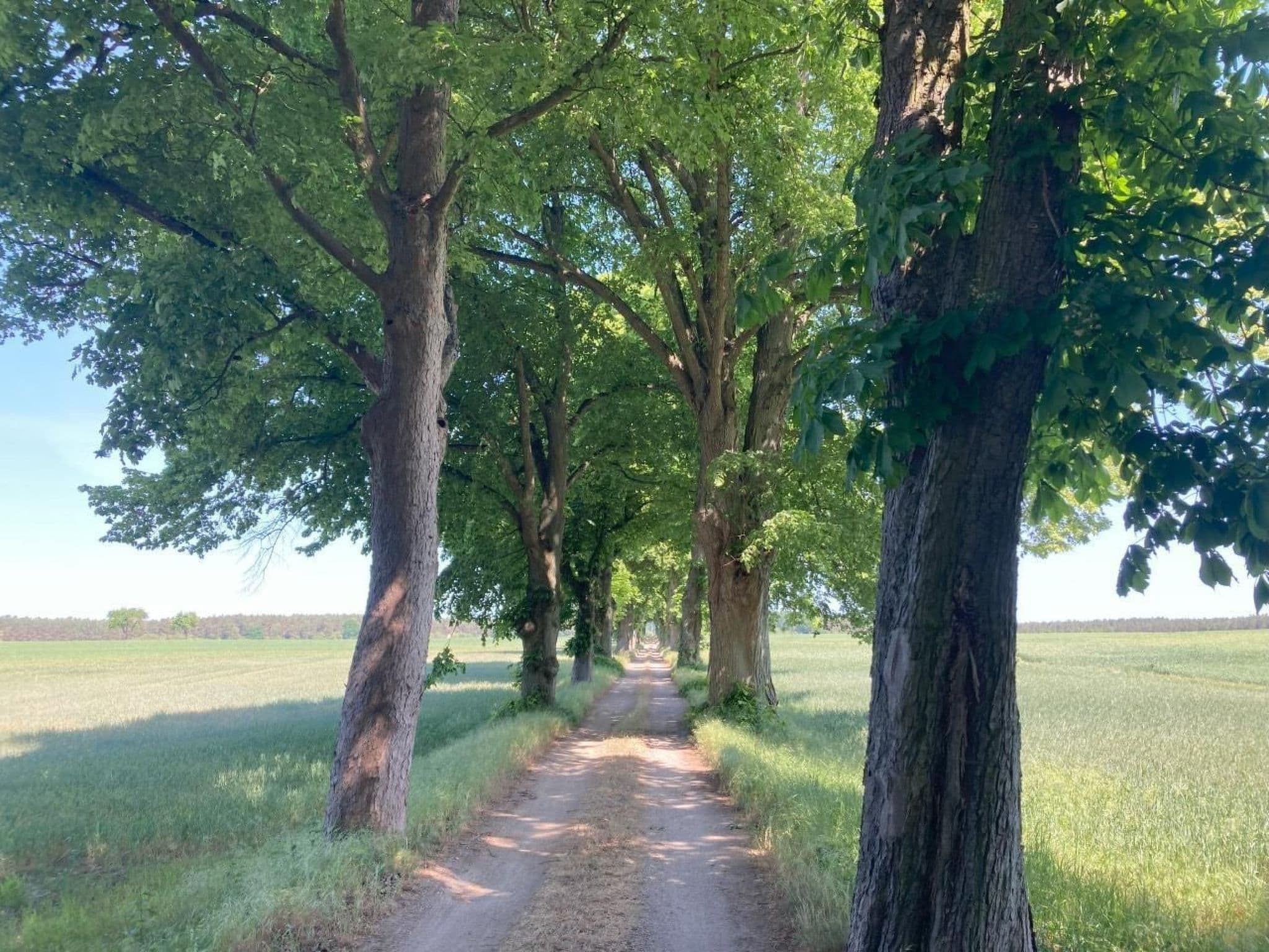 Gallery Image 26