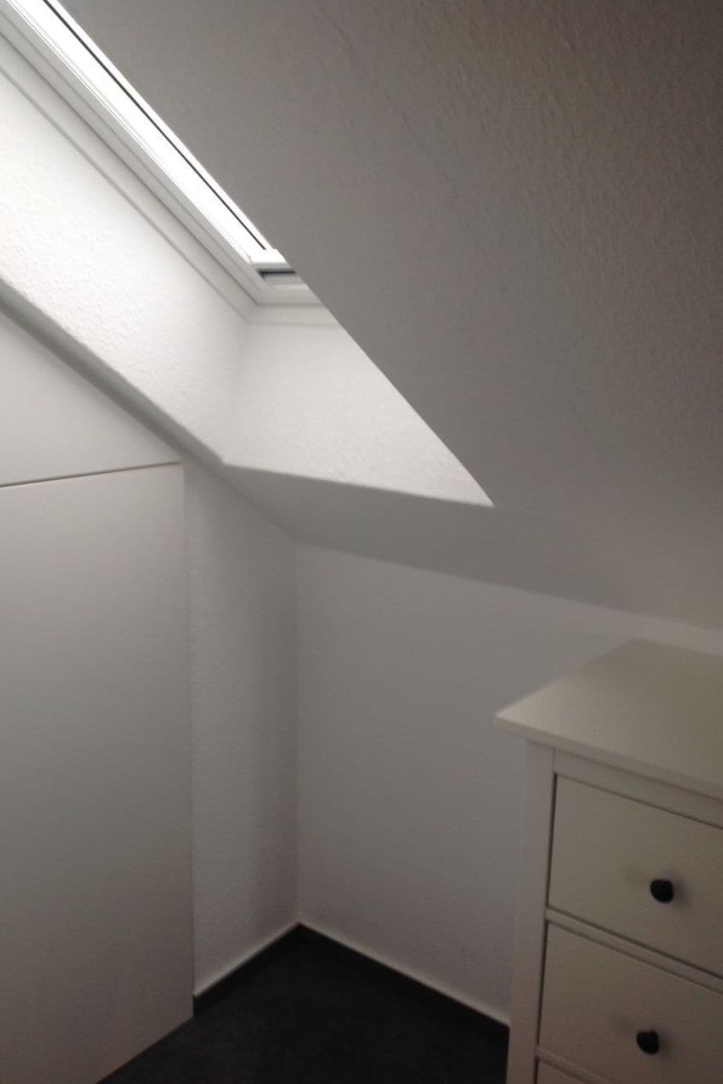 Gallery Image 20