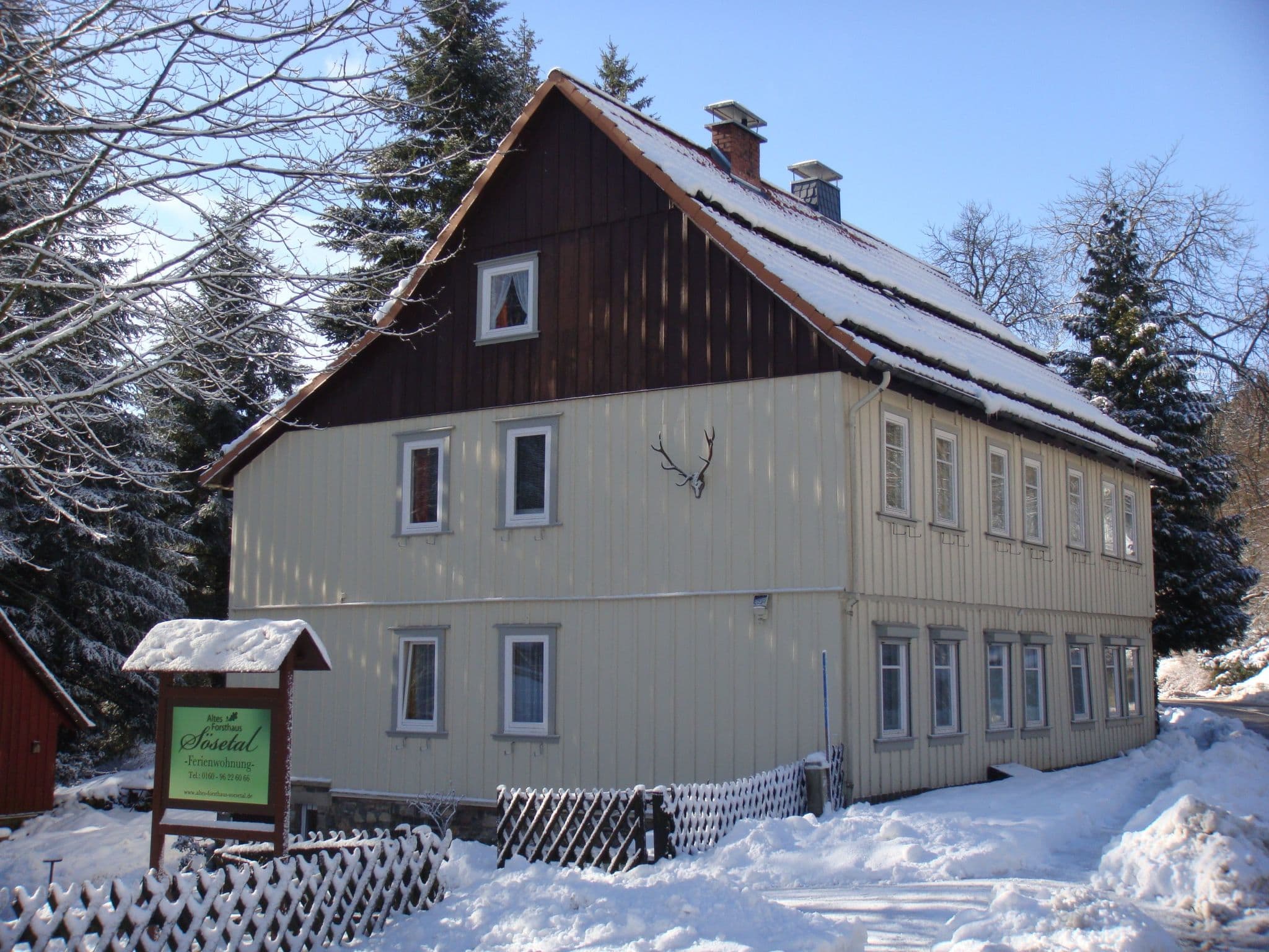 Gallery Image 20