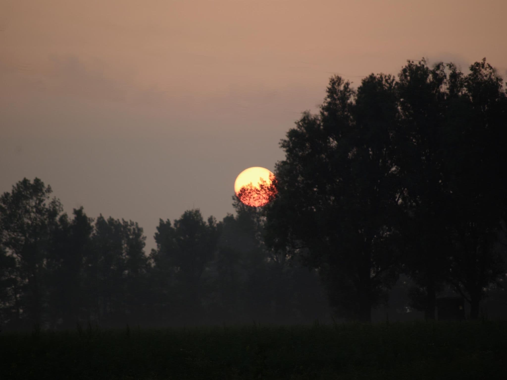 Gallery Image 24