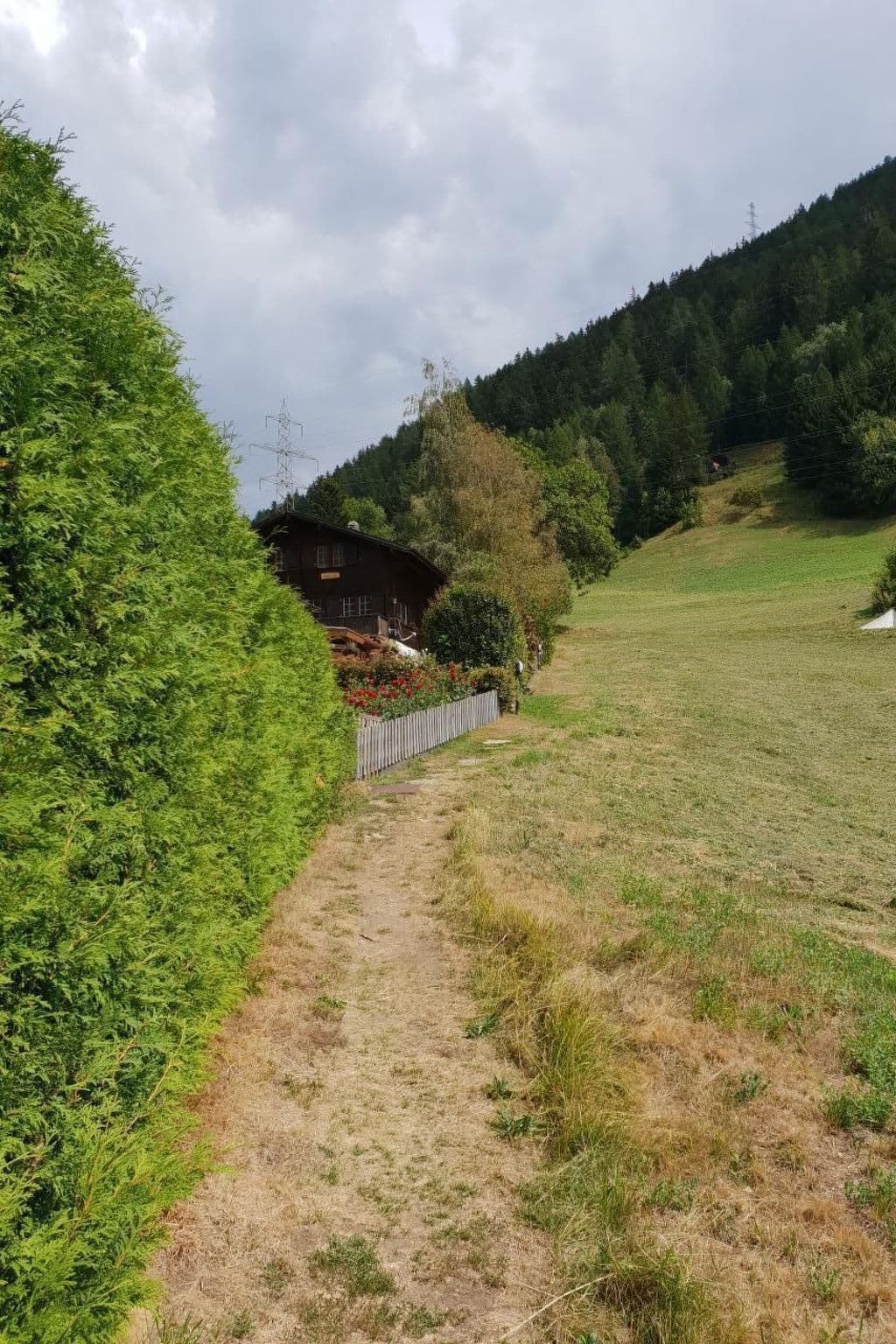 Gallery Image 13