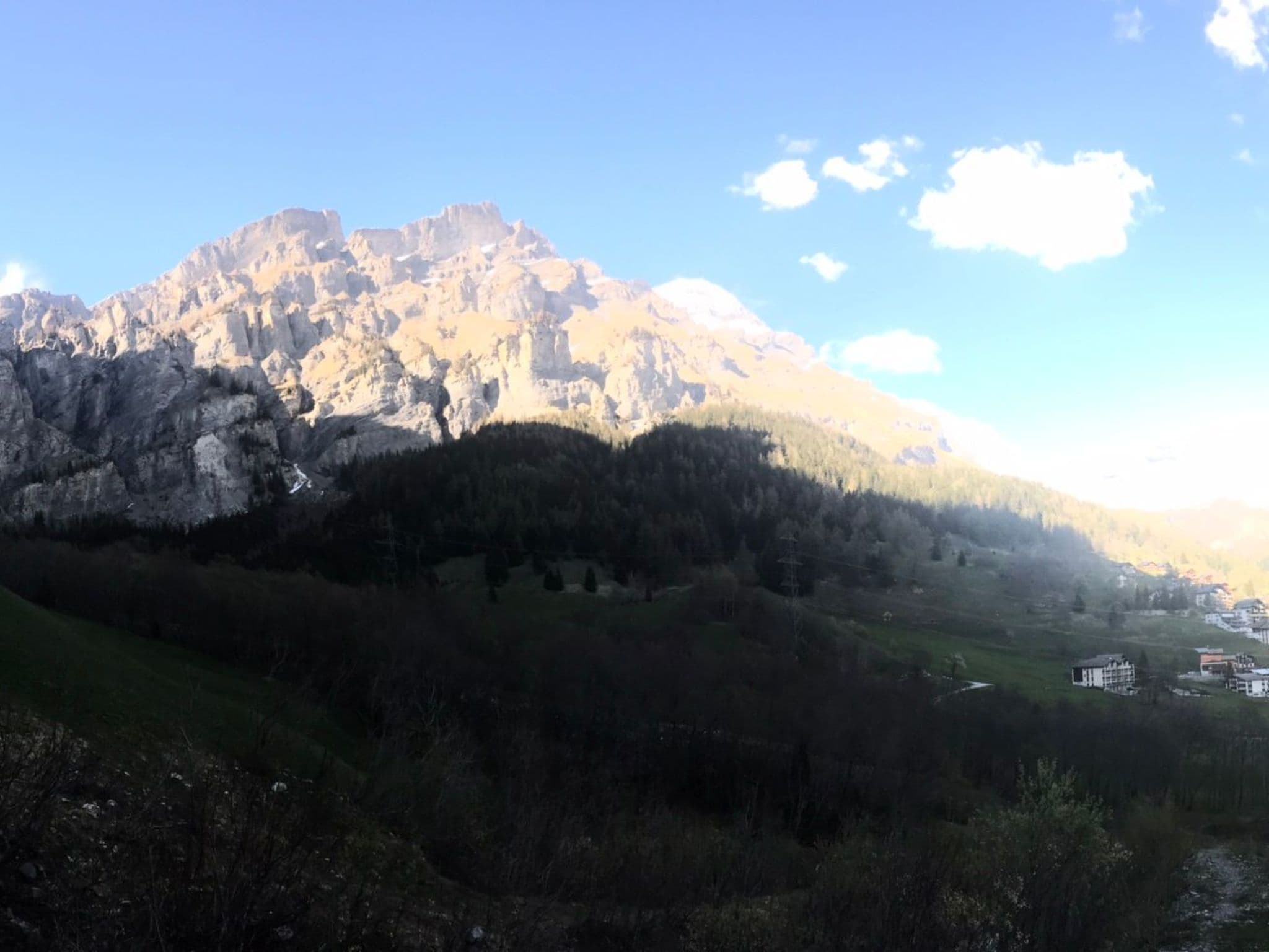 Gallery Image 22