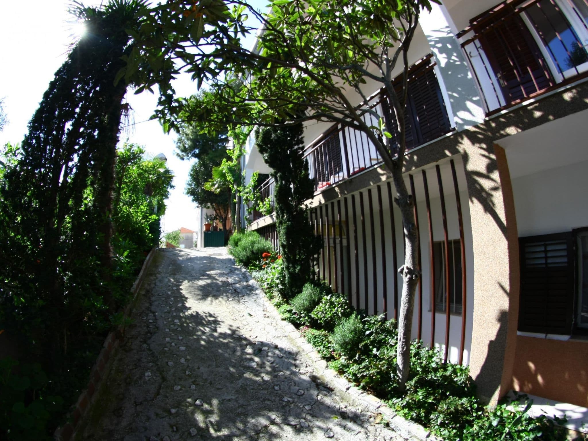 Gallery Image 26
