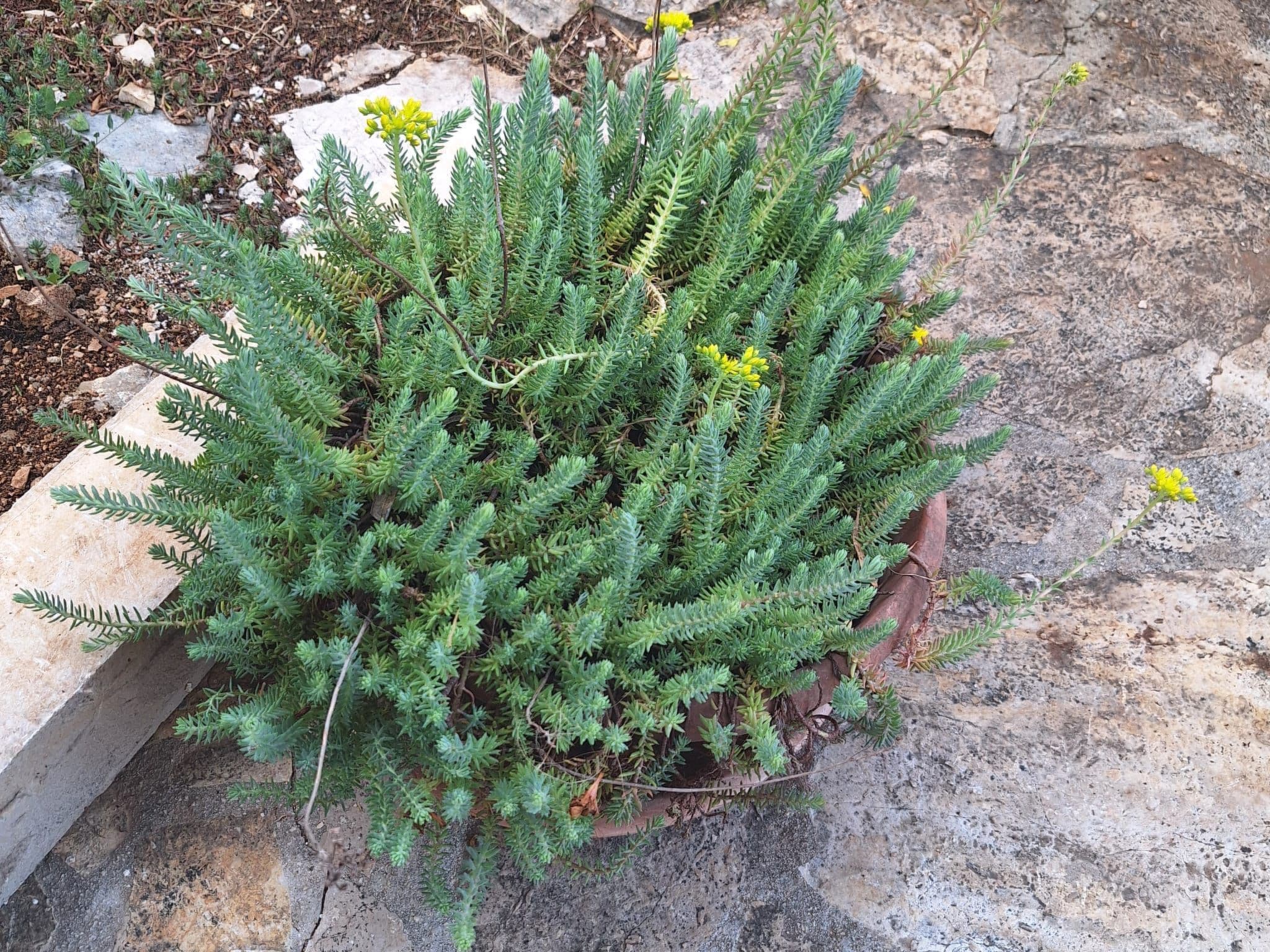 Gallery Image 30