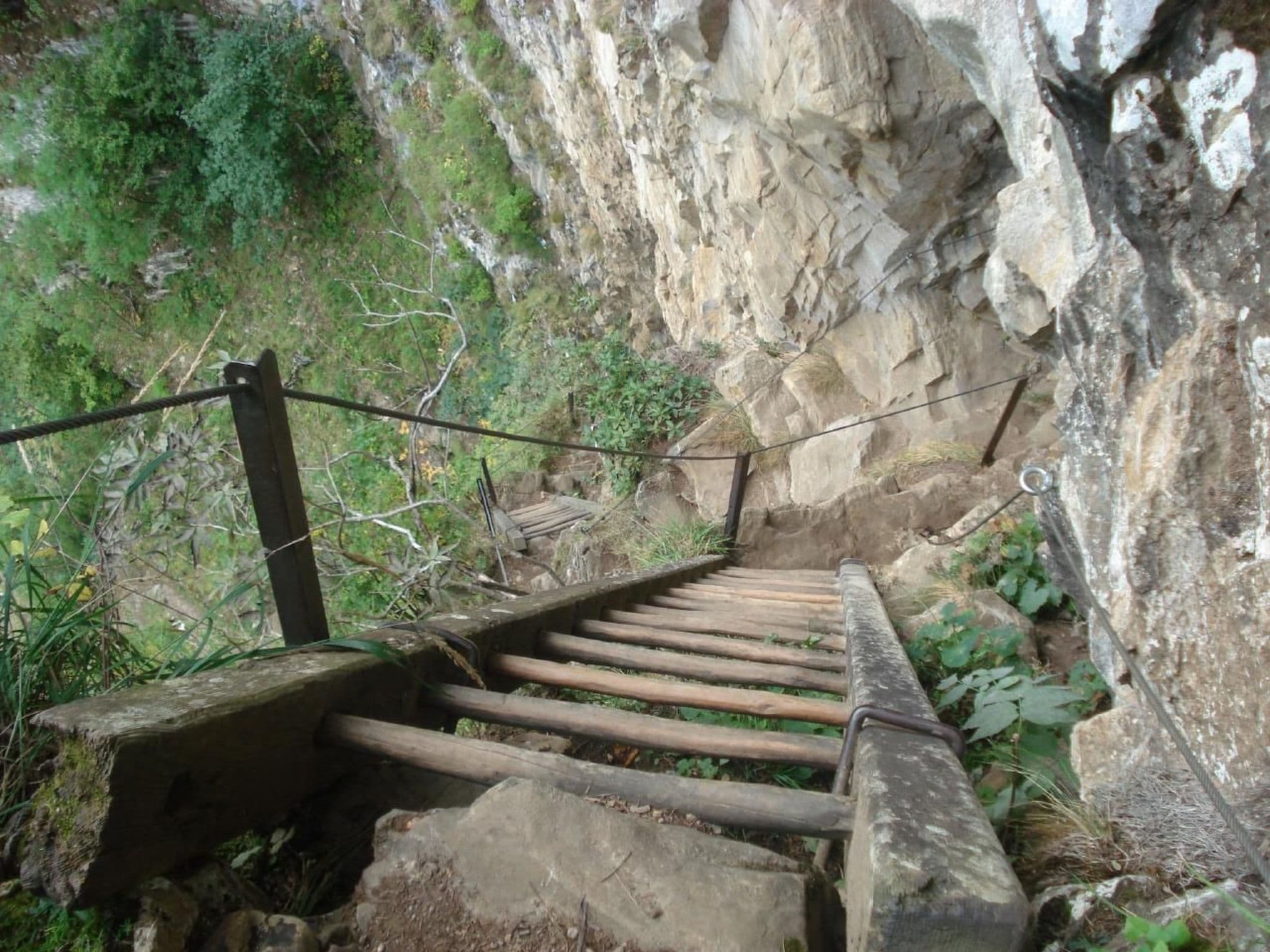 Gallery Image 36