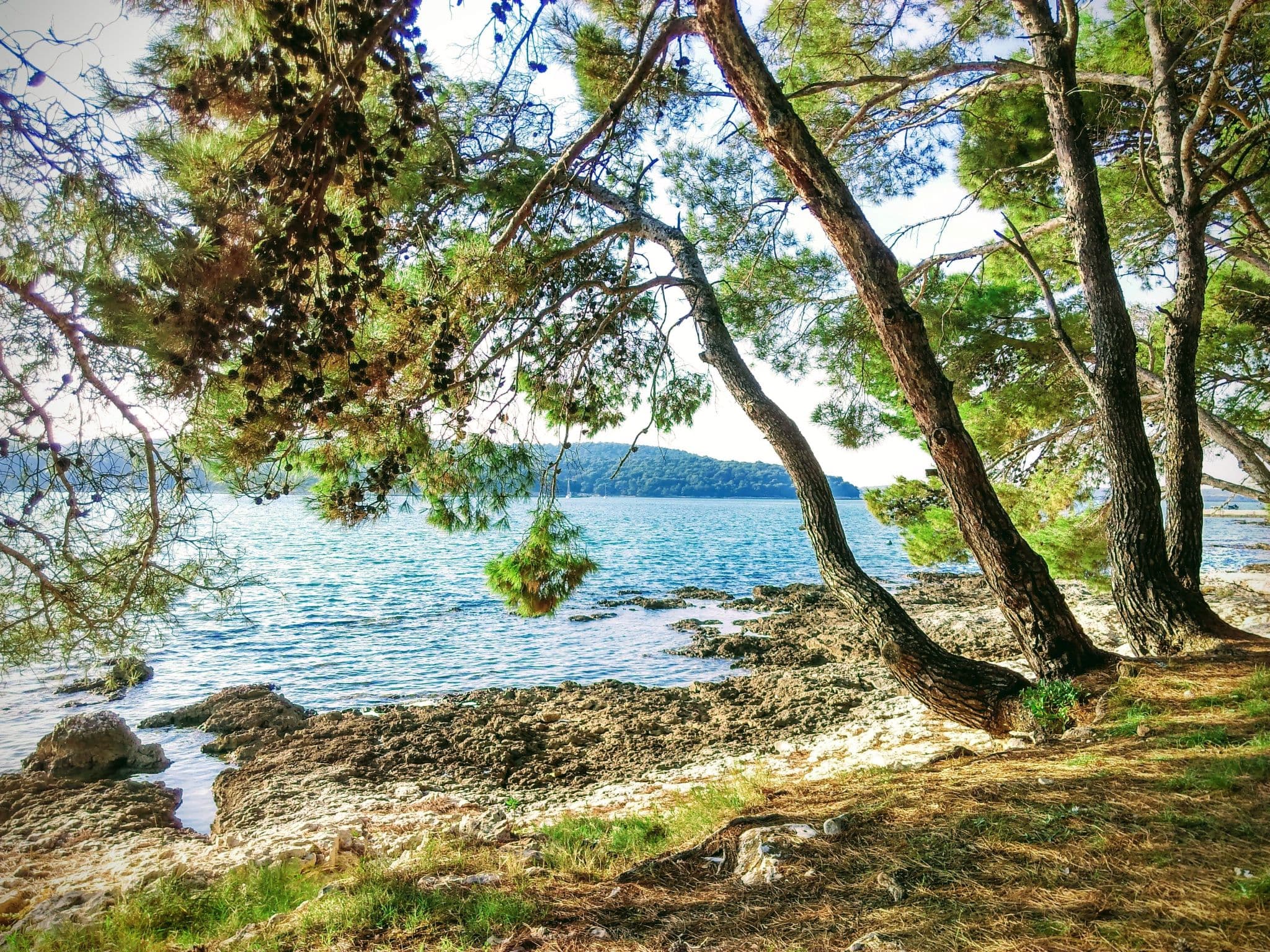 View
