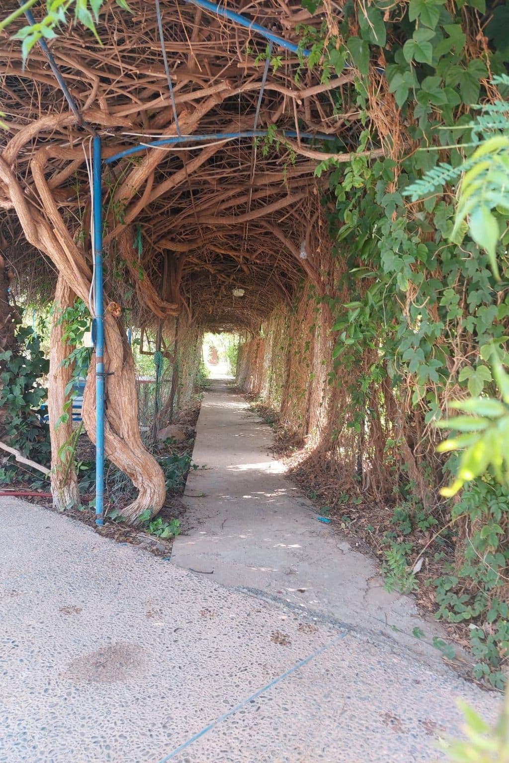 Gallery Image 13
