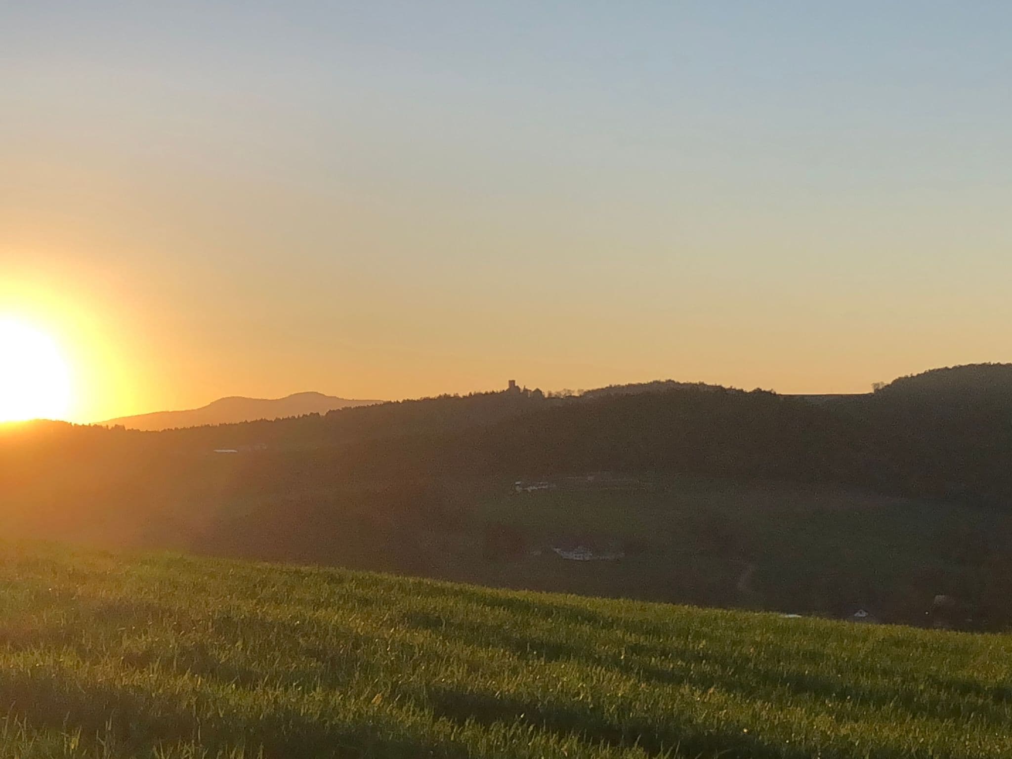 View