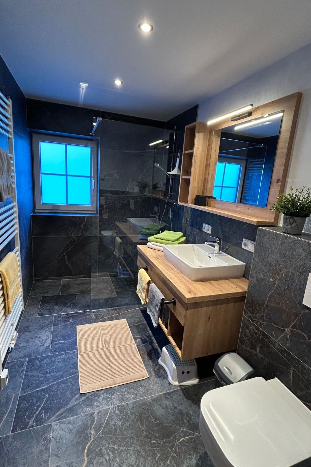 Bathroom / Wellness