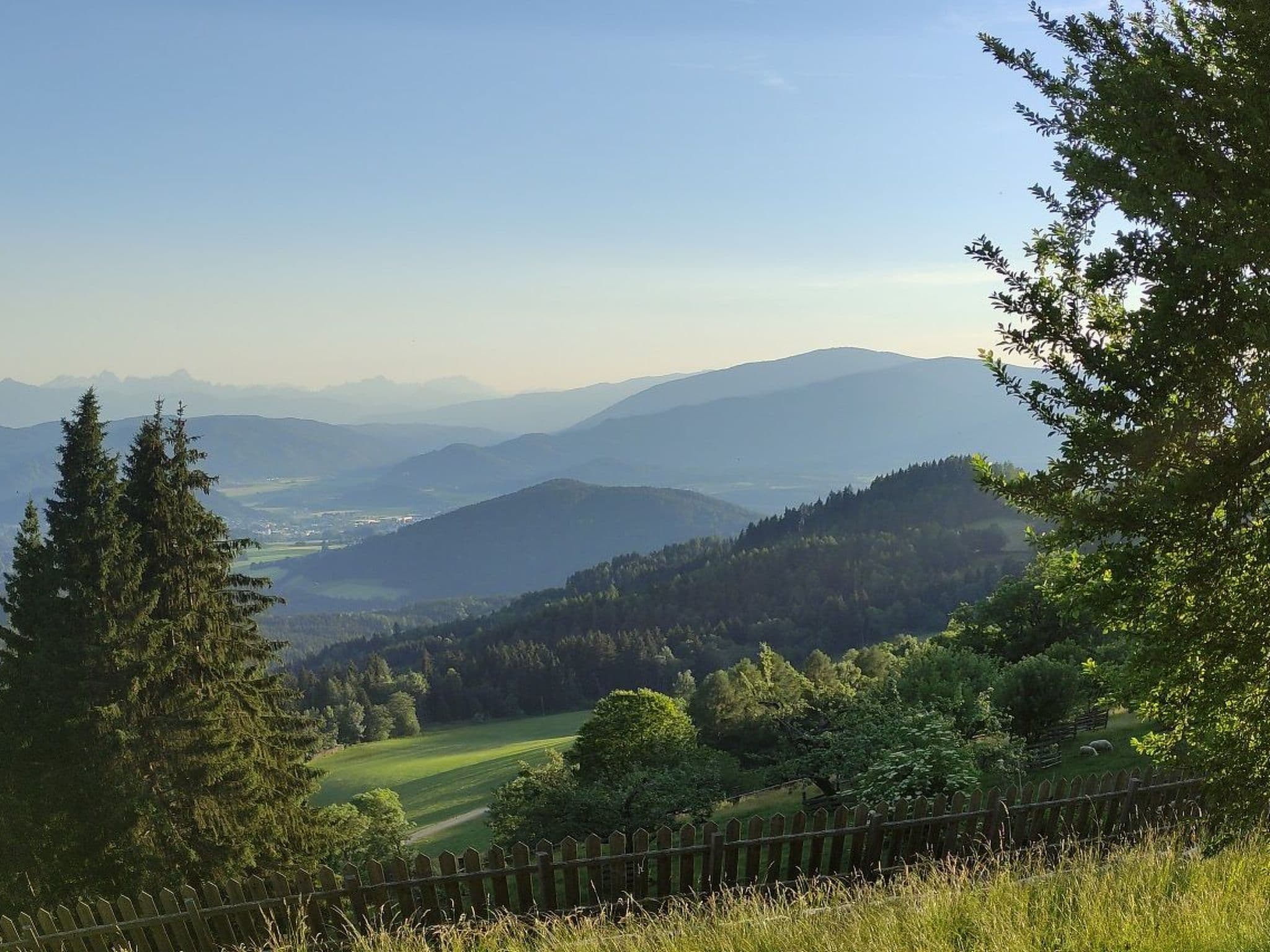 View