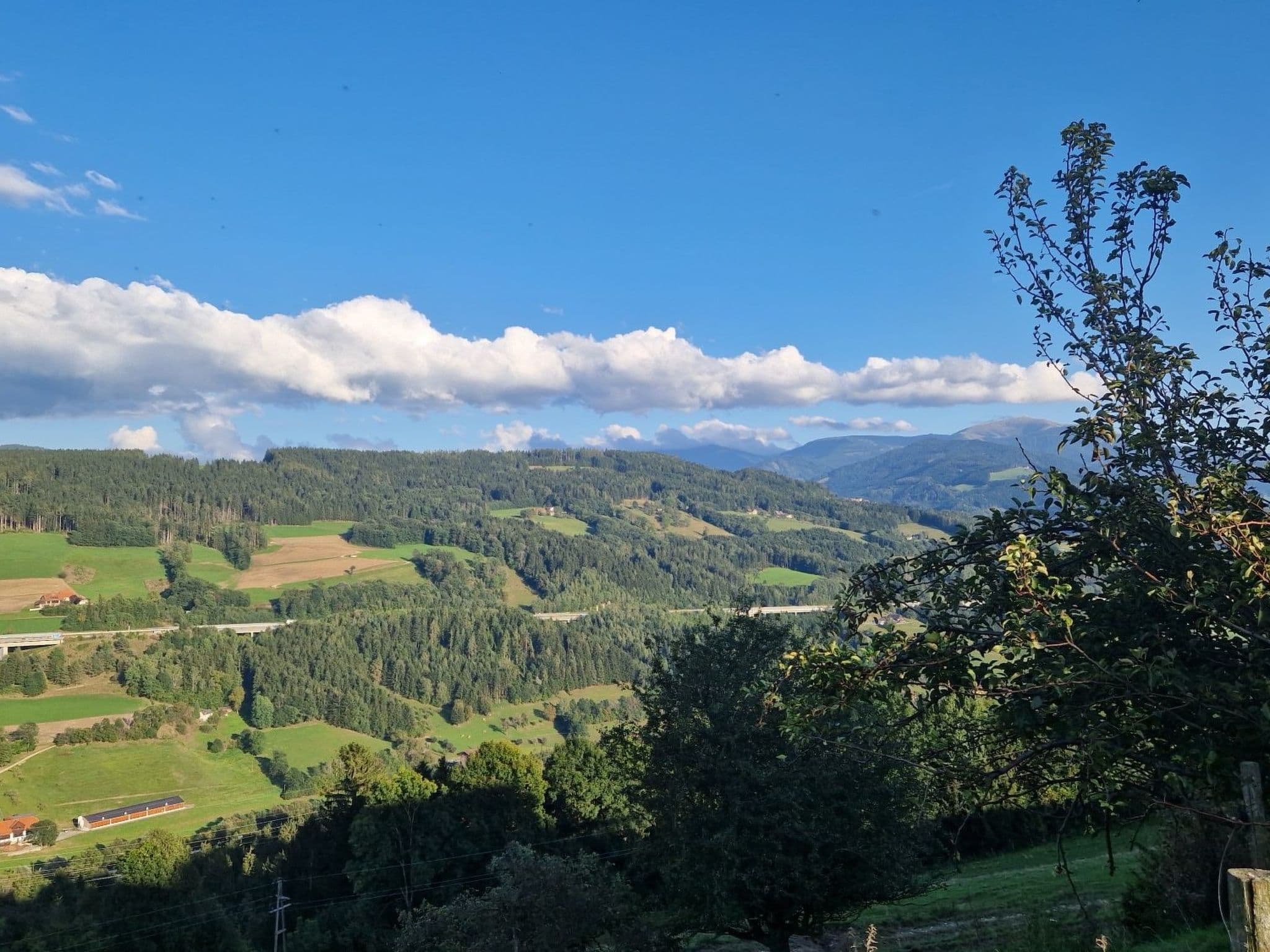 View