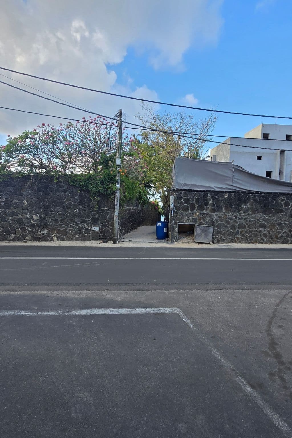 Gallery Image 16