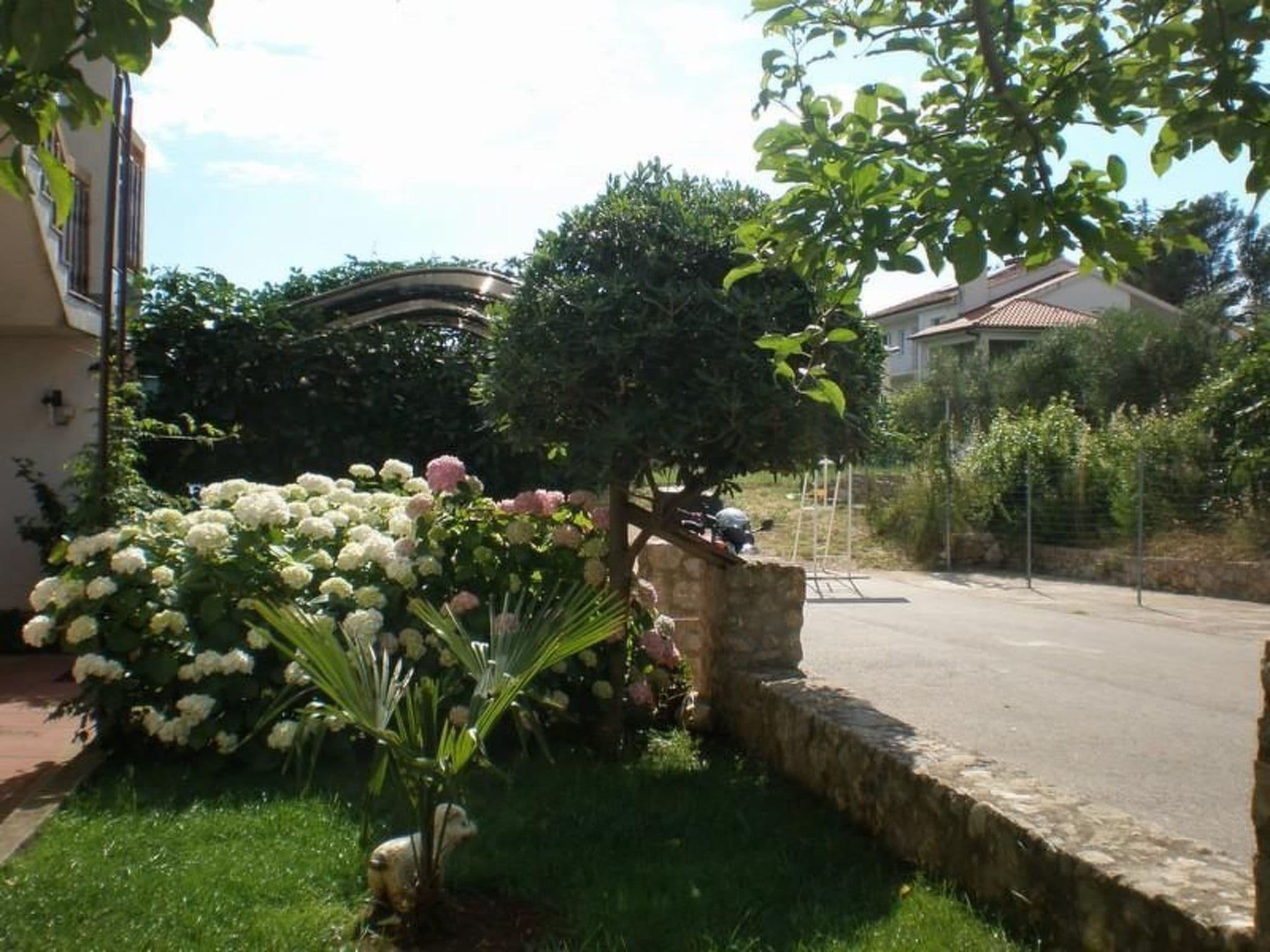 Gallery Image 56